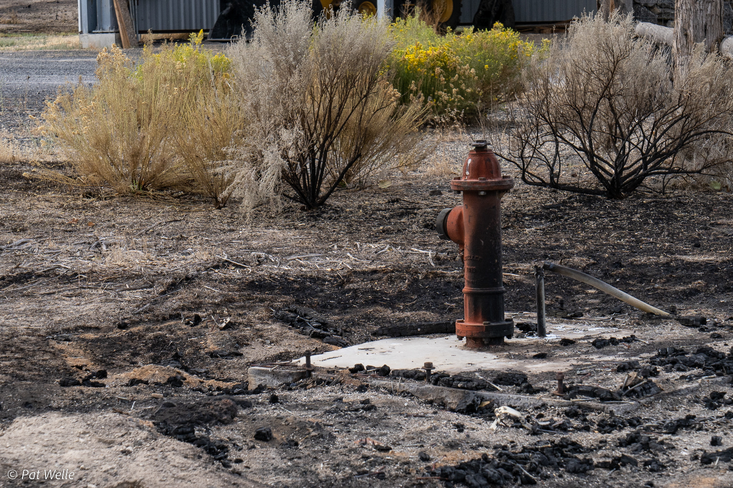 Damage from recent fire
