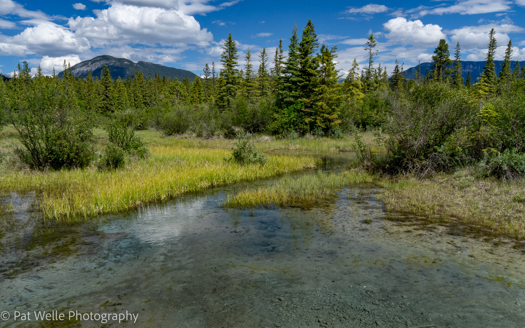 The Headwaters of the Columbia River