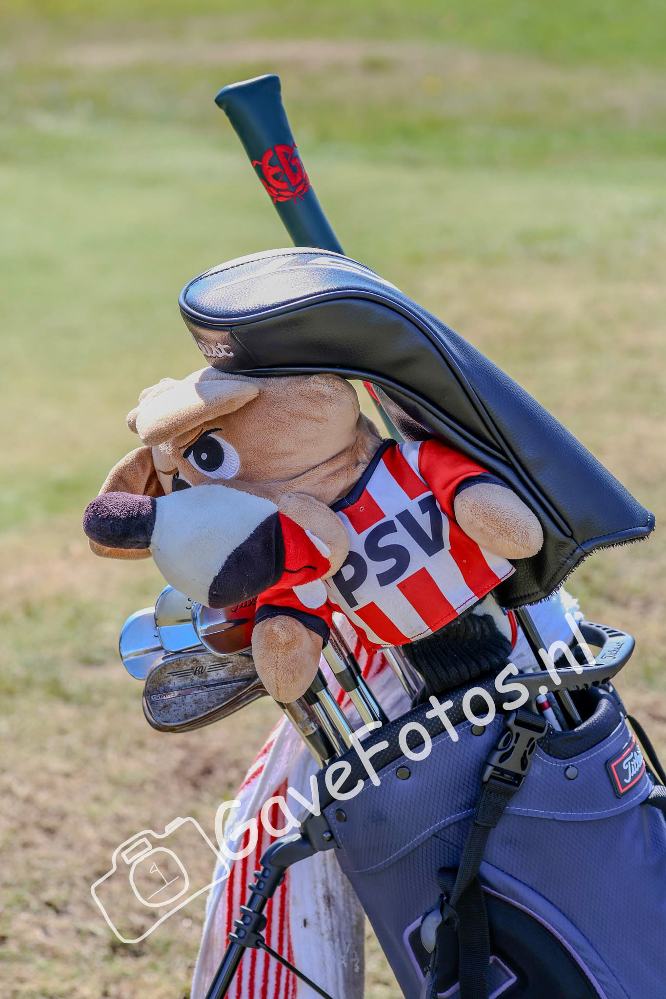 De tas van Jack Ingham mijn zijn mascottes