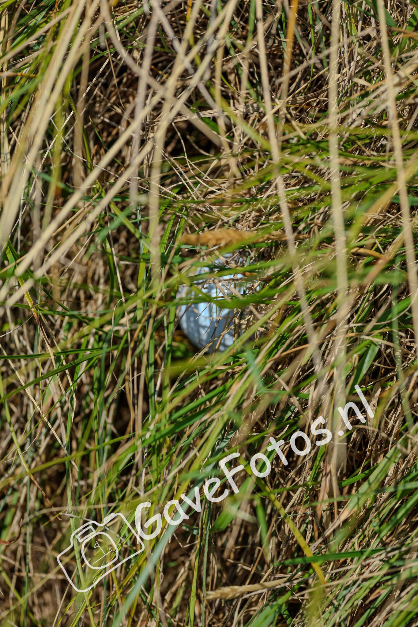 Iemand heeft een minder fijne ligging