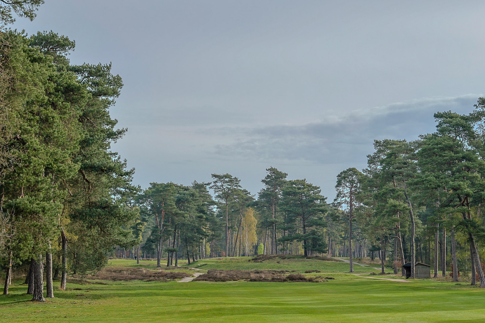 Hole 8 van de Rosendaelsche tijdens de NGF Hoofdklasse competitie