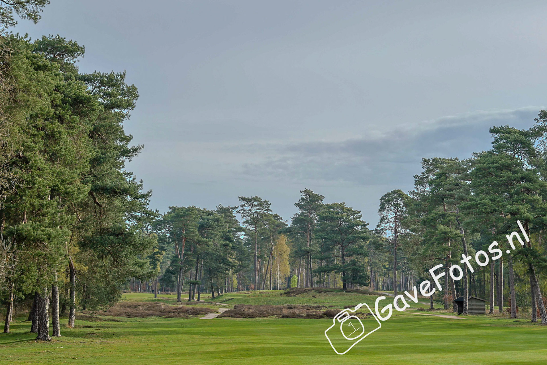 Hole 8 van de Rosendaelsche tijdens de NGF Hoofdklasse competitie