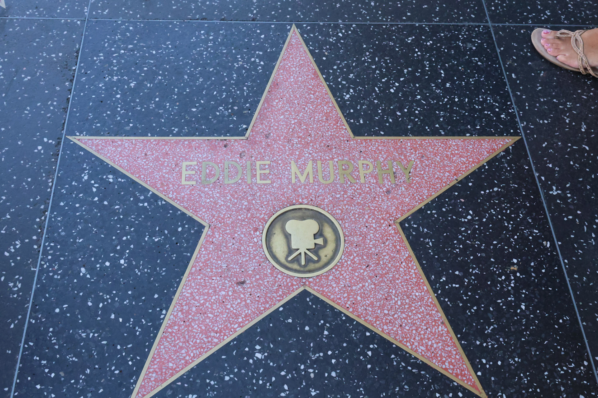 De hollywood walk of fame