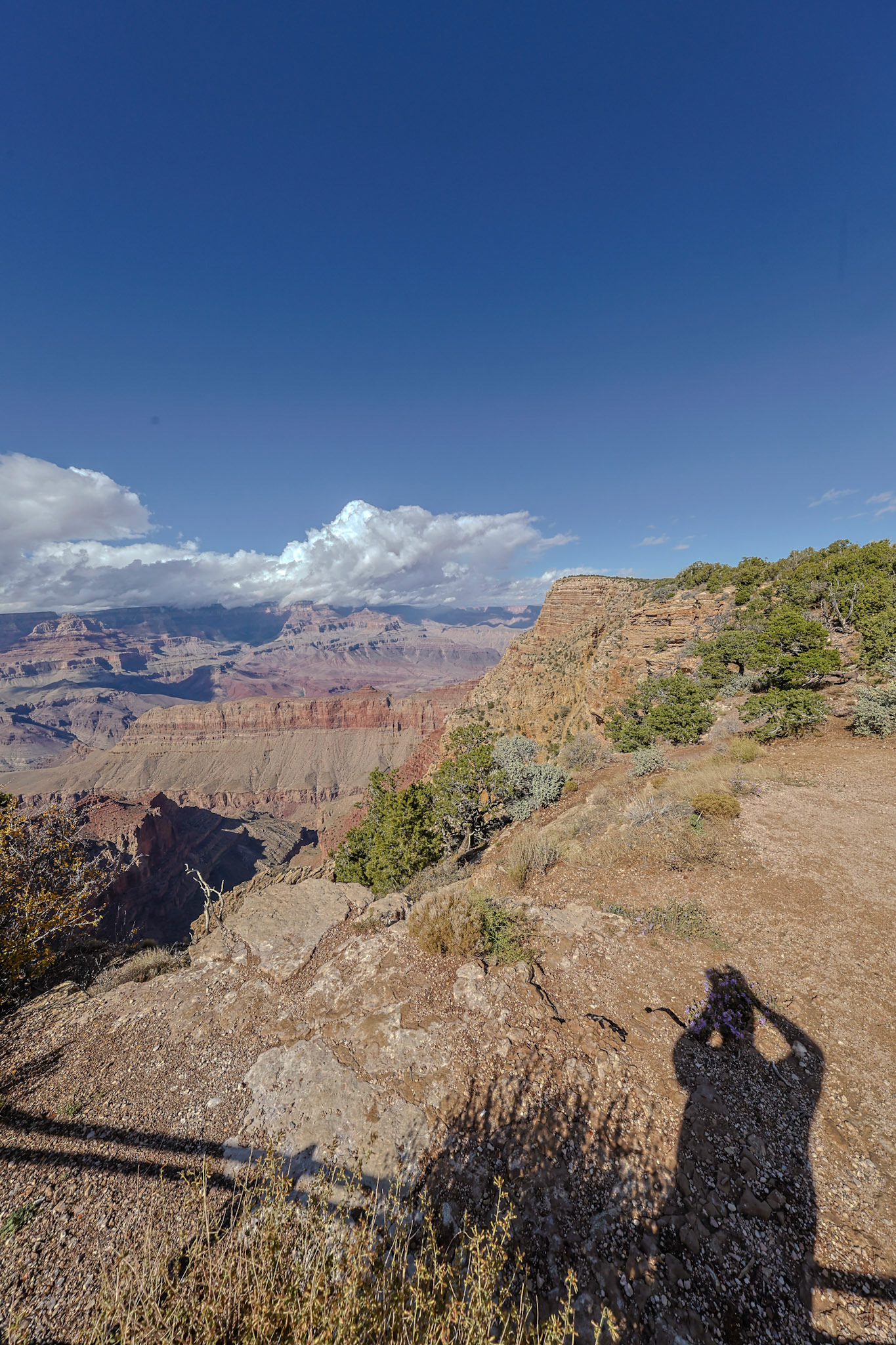 de Grand Canyon