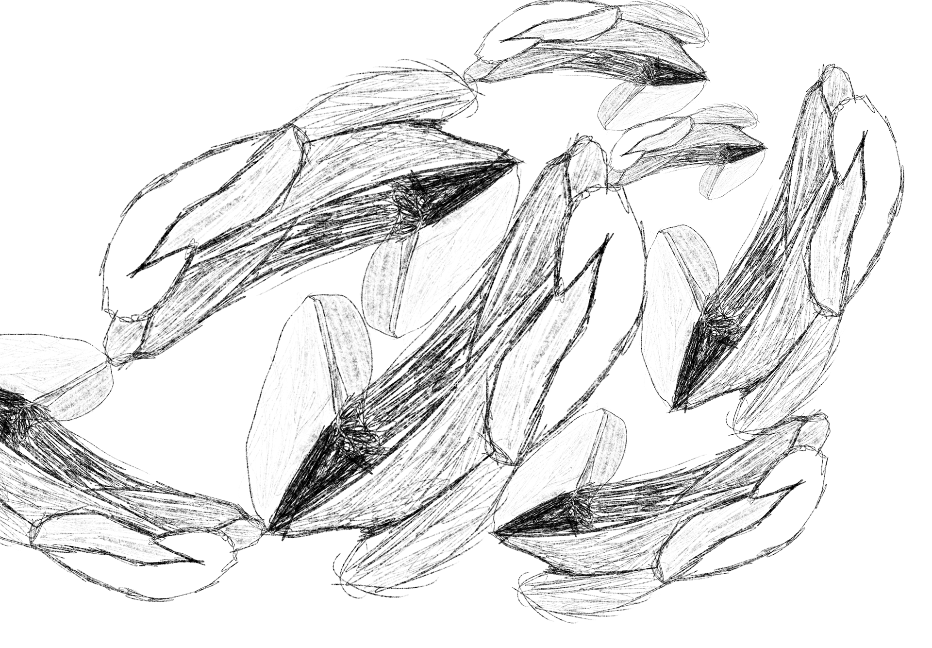 Pattern 5