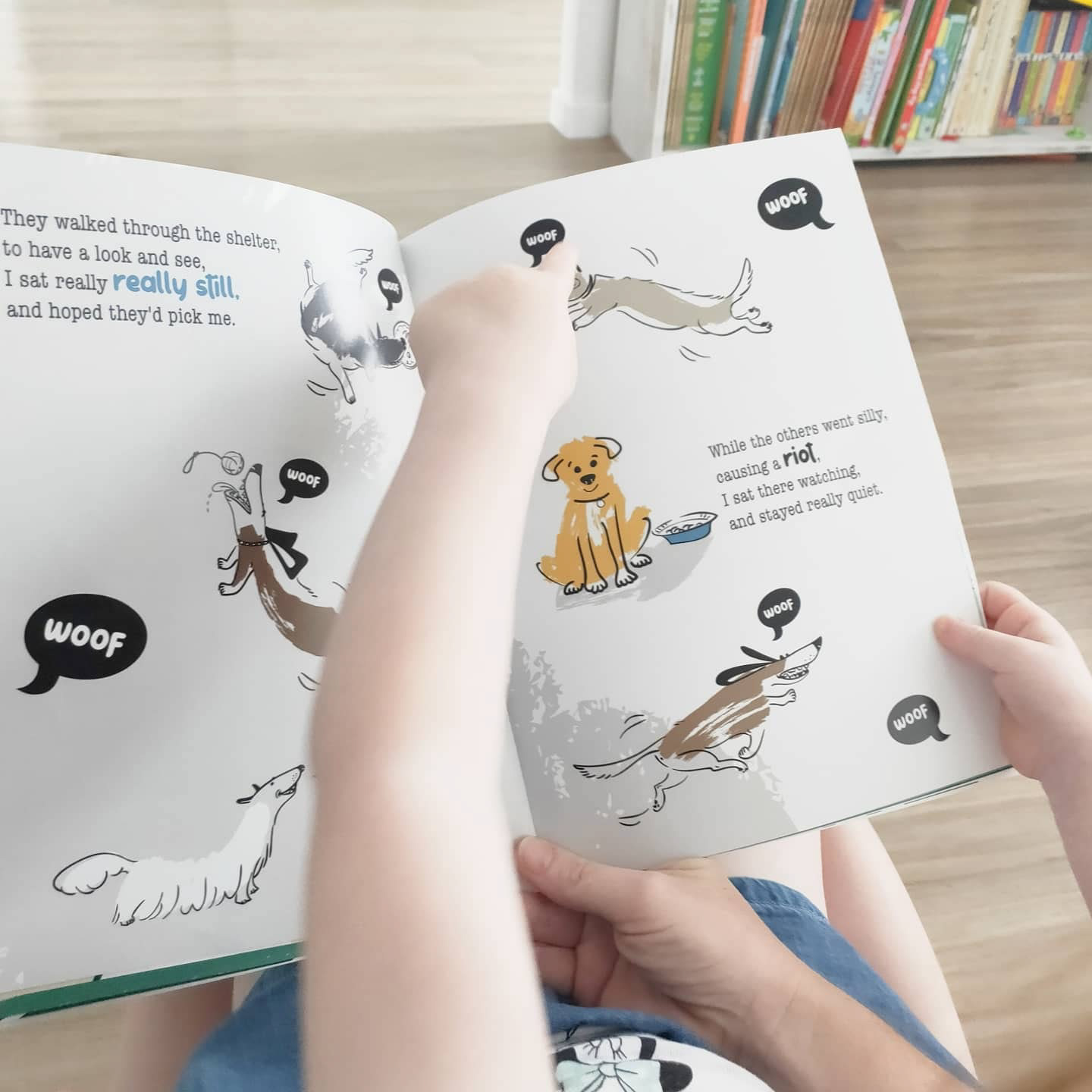 The Day I Met My Family - Children's Book