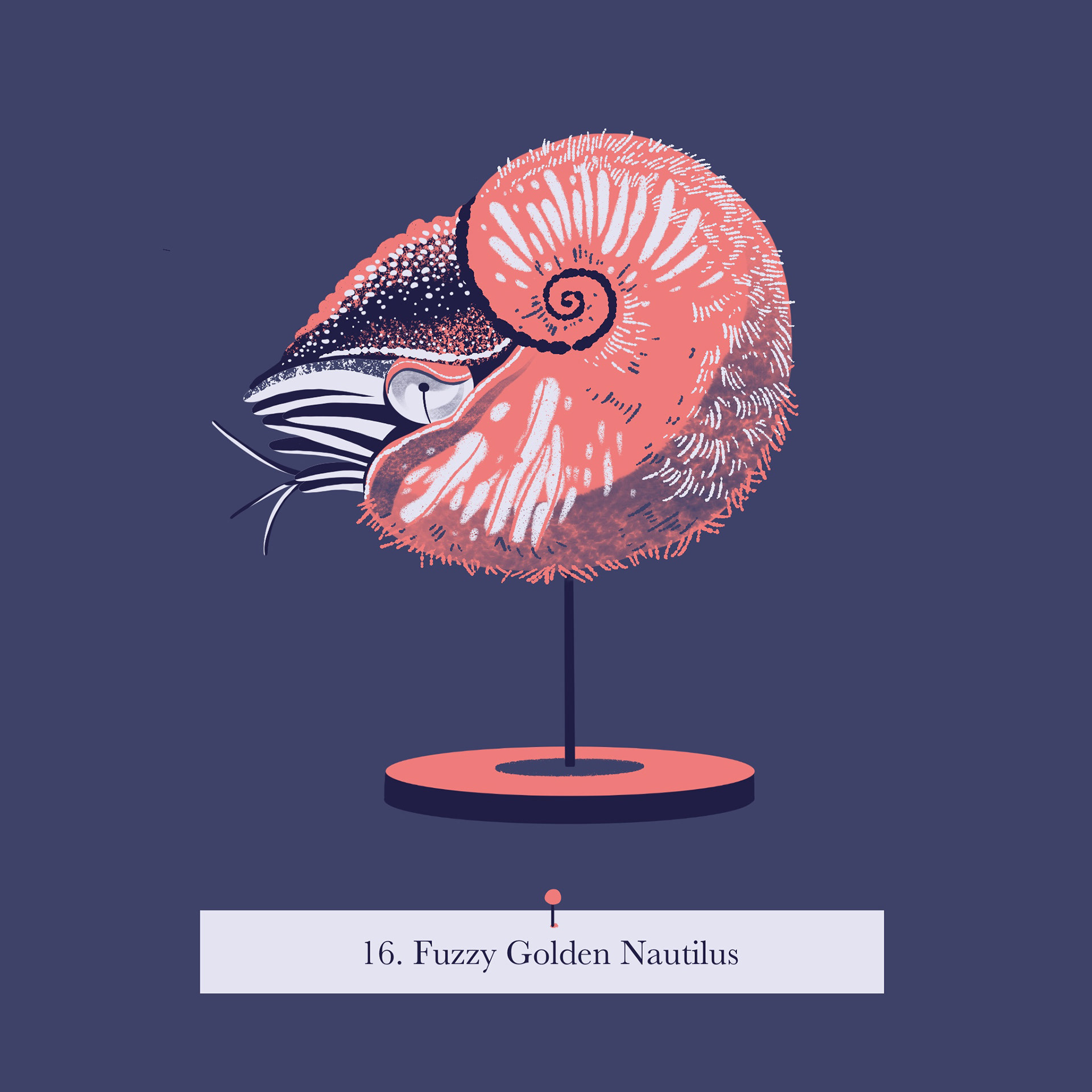 A fuzzy golden nautilus displayed on a stand