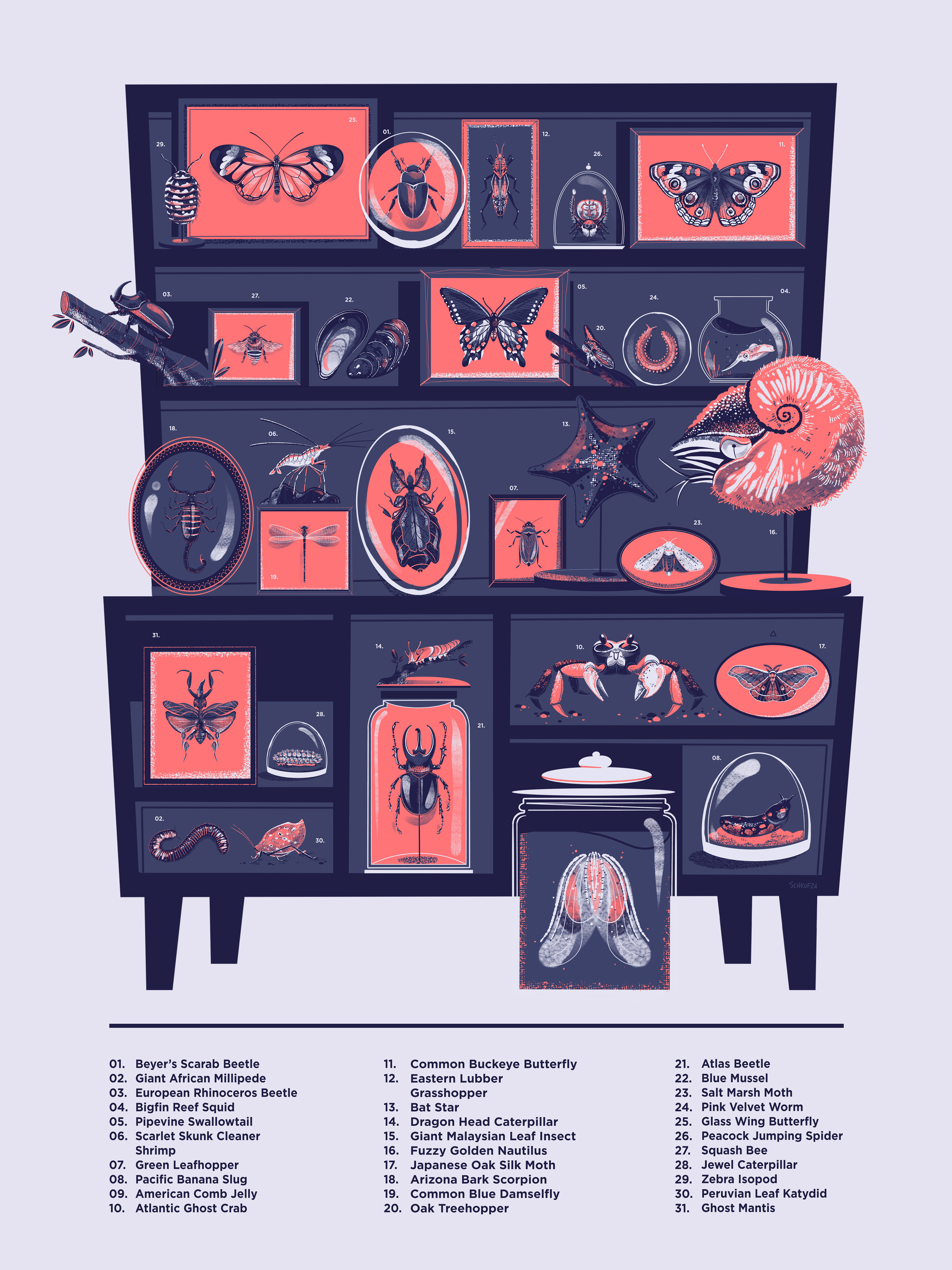A collector's case filled with specimens of invertebrates