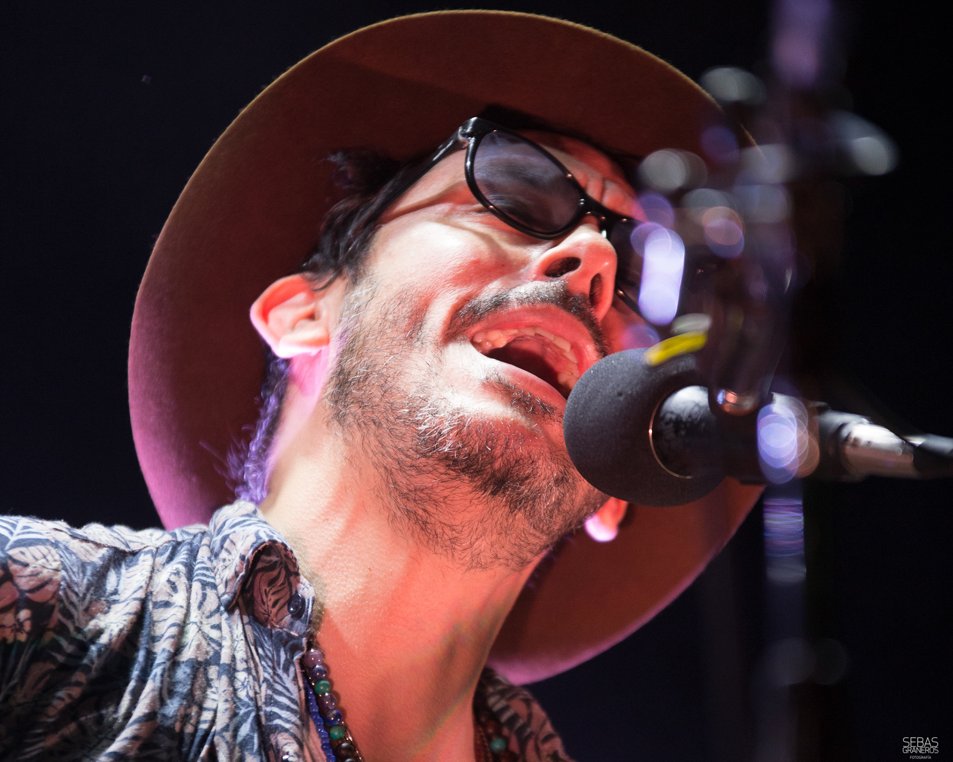 Lisandro Aristimuño - Konex