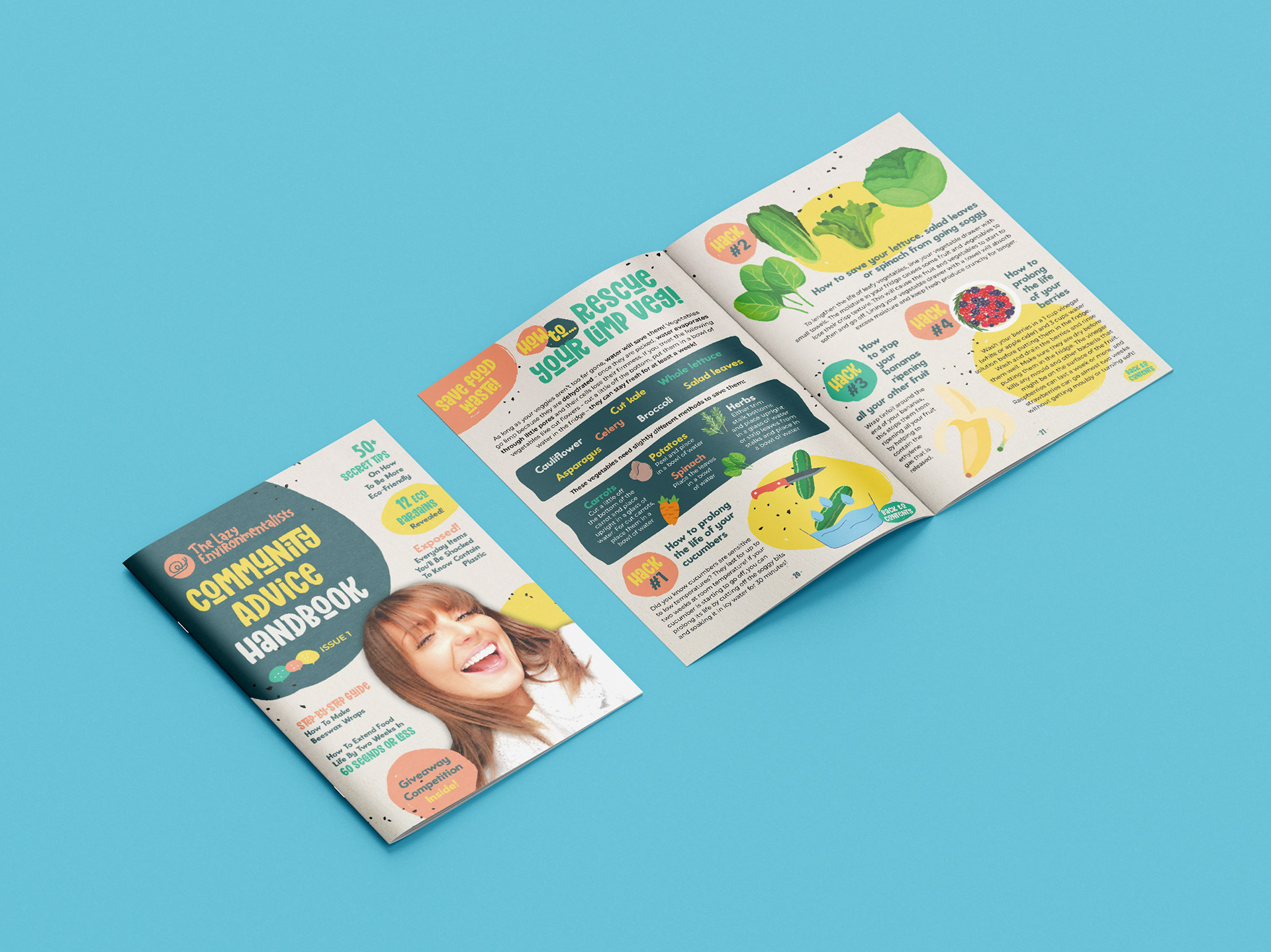 Community Advice Handbook (The Lazy Environmentalists)