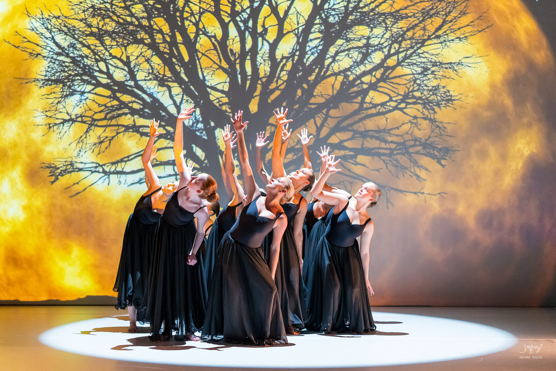 The Greatest Show 2023 - Åsane Ballet Skole