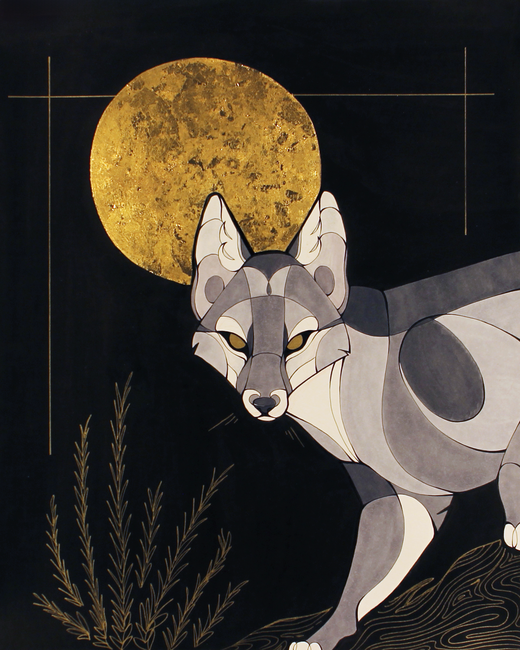 Gray Fox