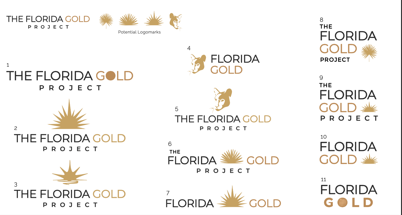 Refined Logo Sketches