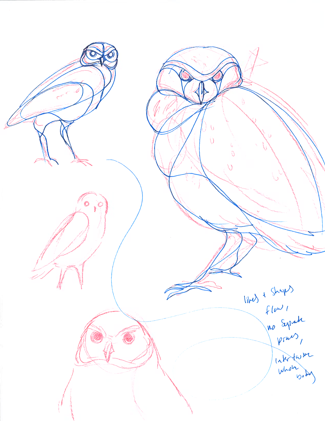 Burrowing Owl Sketches