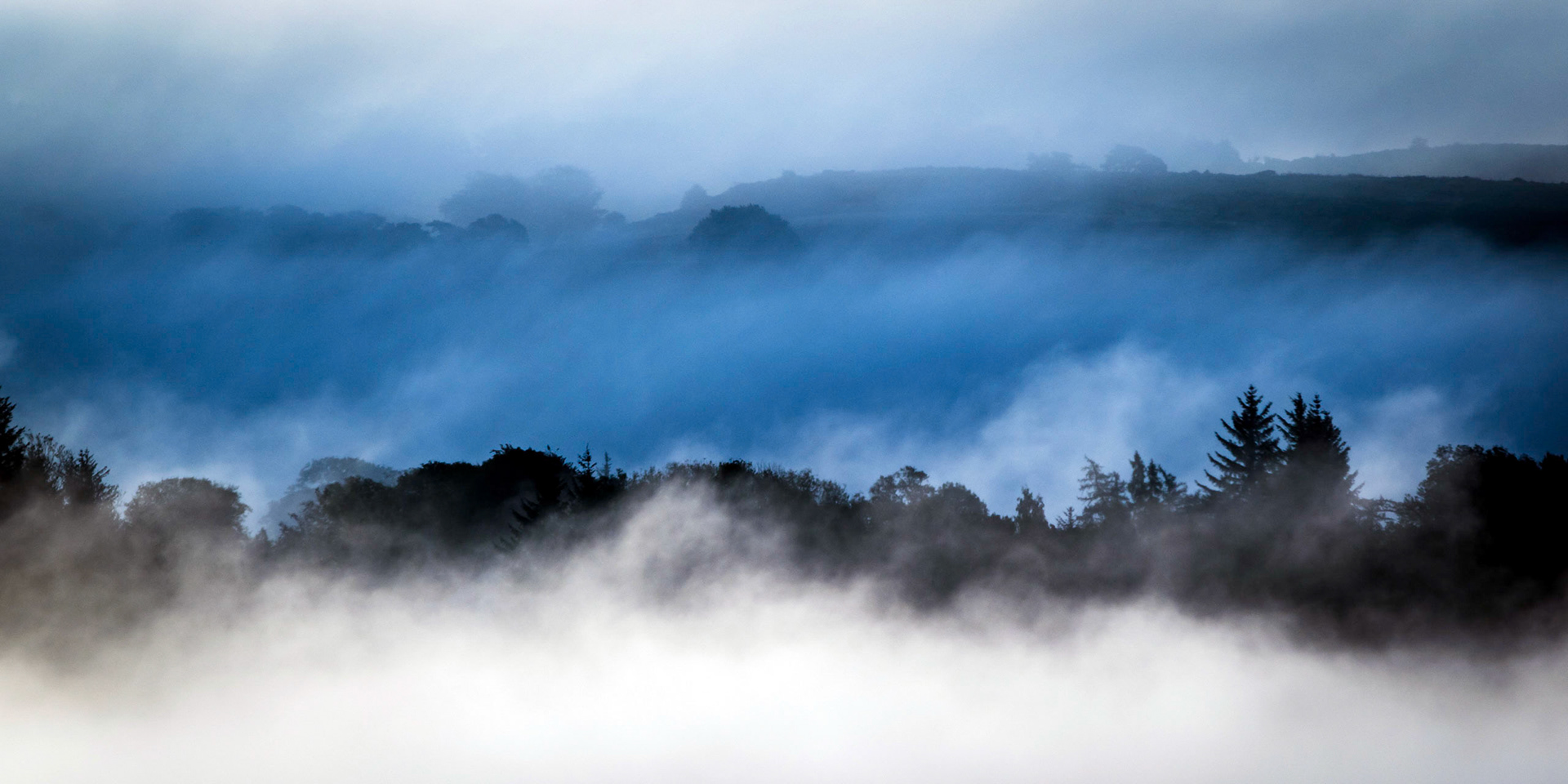 Fog, Lochwinnoch, Renfrewshire, Scotland,UK .