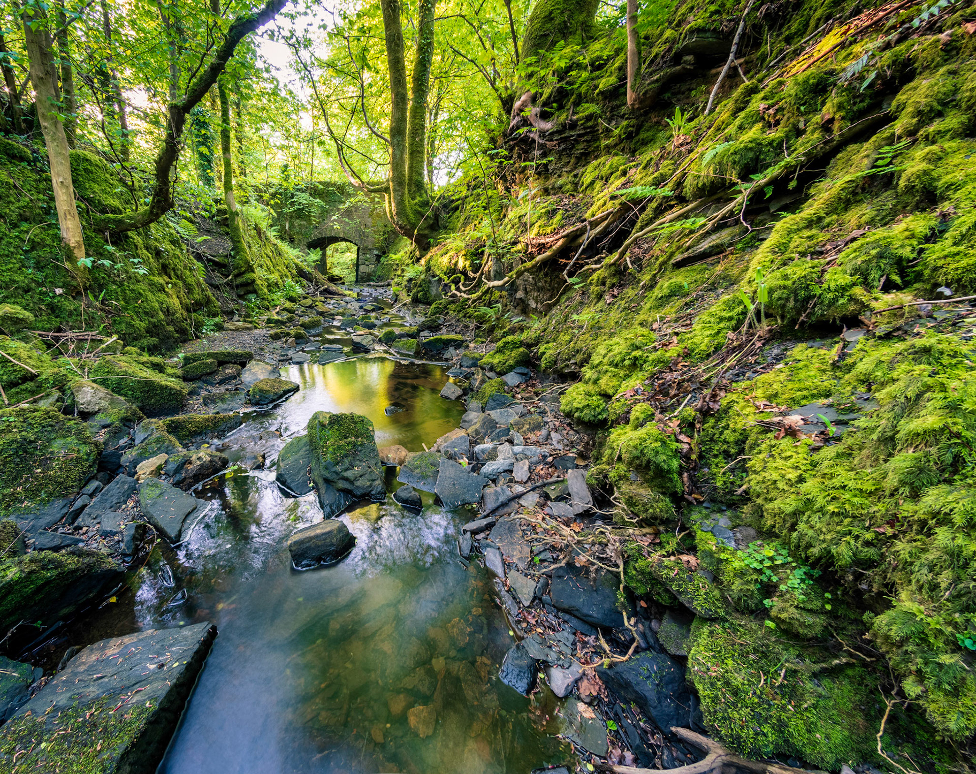 Millbank Burn (Scotish for stream) used to power a grain mill called Meikle Millbank Mill.