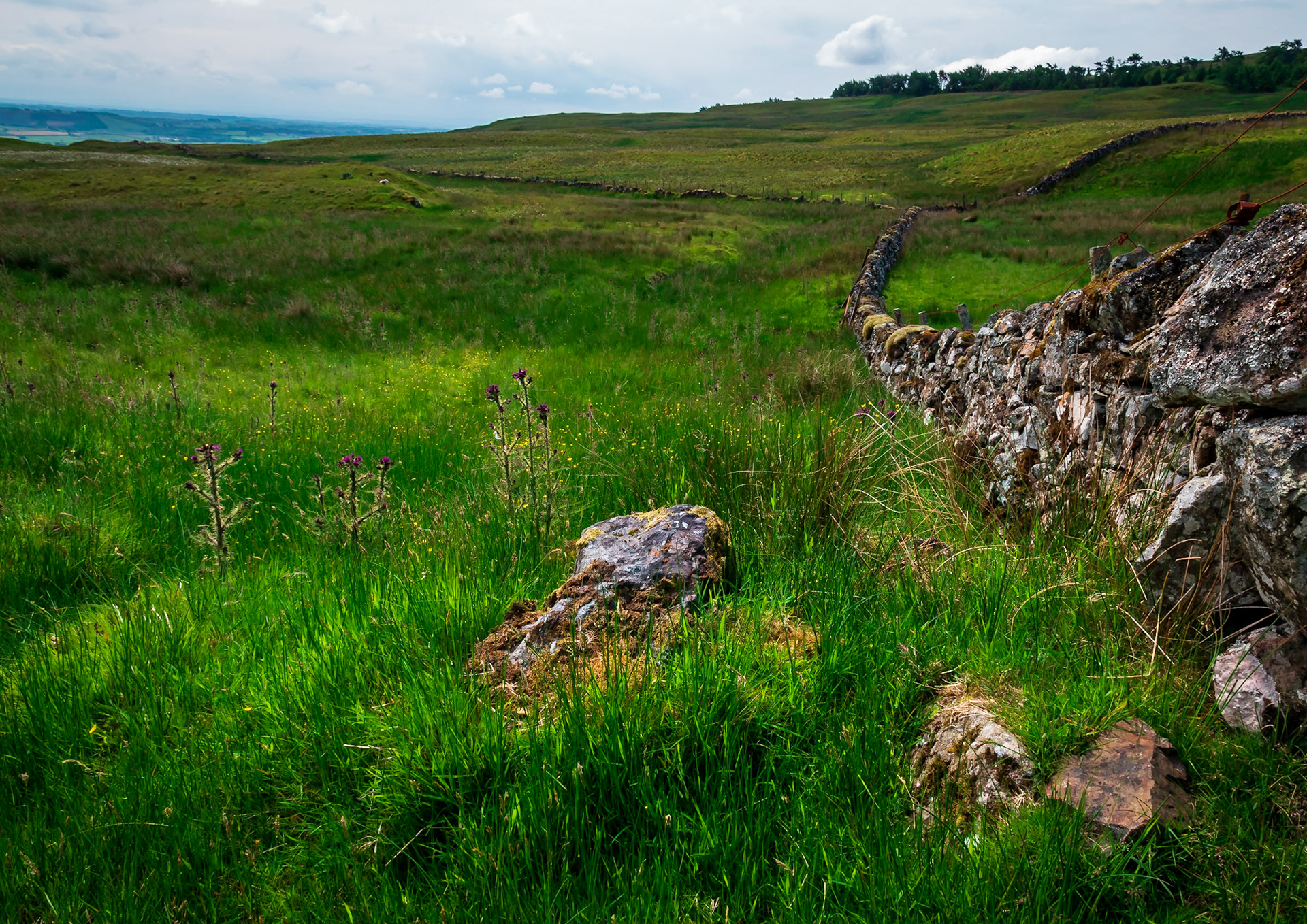 On a sunny midday a drysone wall arcs across moorland.