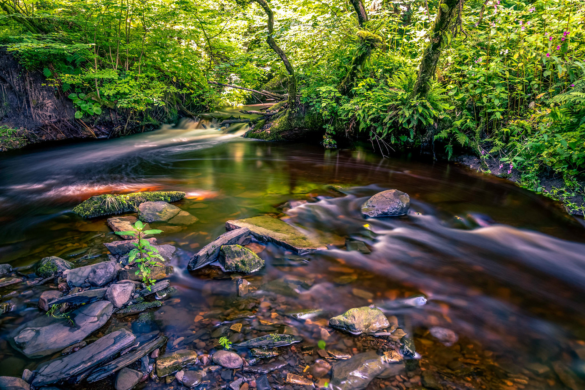 Coming down over the fall in the foreground the river splits over the little stony island in the middle before recombining and heading east to fill Kilbirnie Loch.