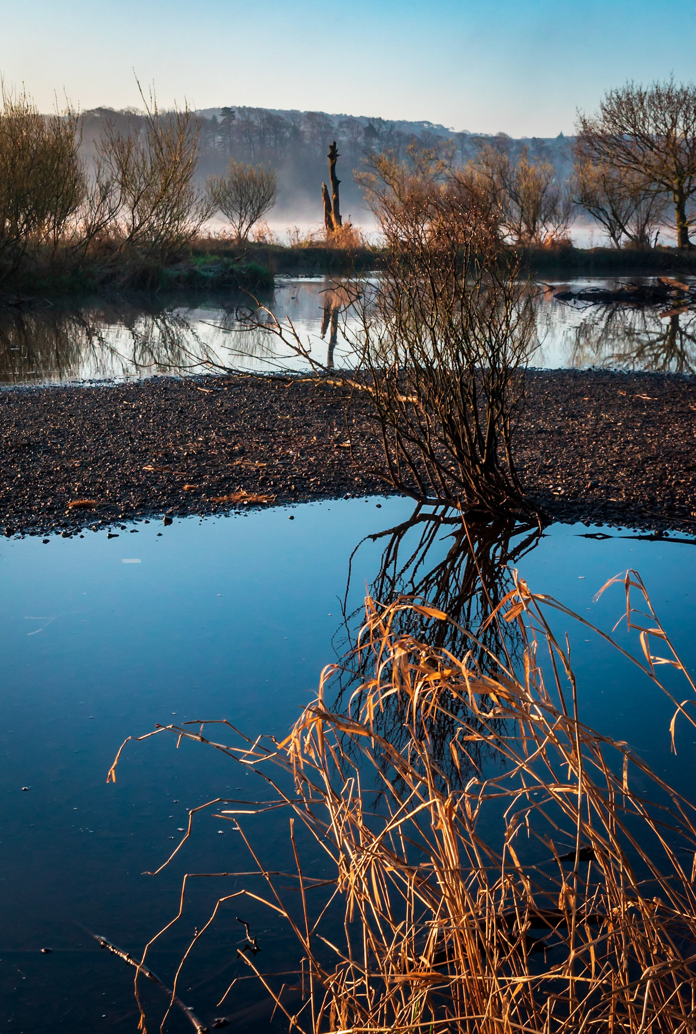 On a cold morning trees reflect in the blue water of the River Calder, Renfrewshire, Scotland.