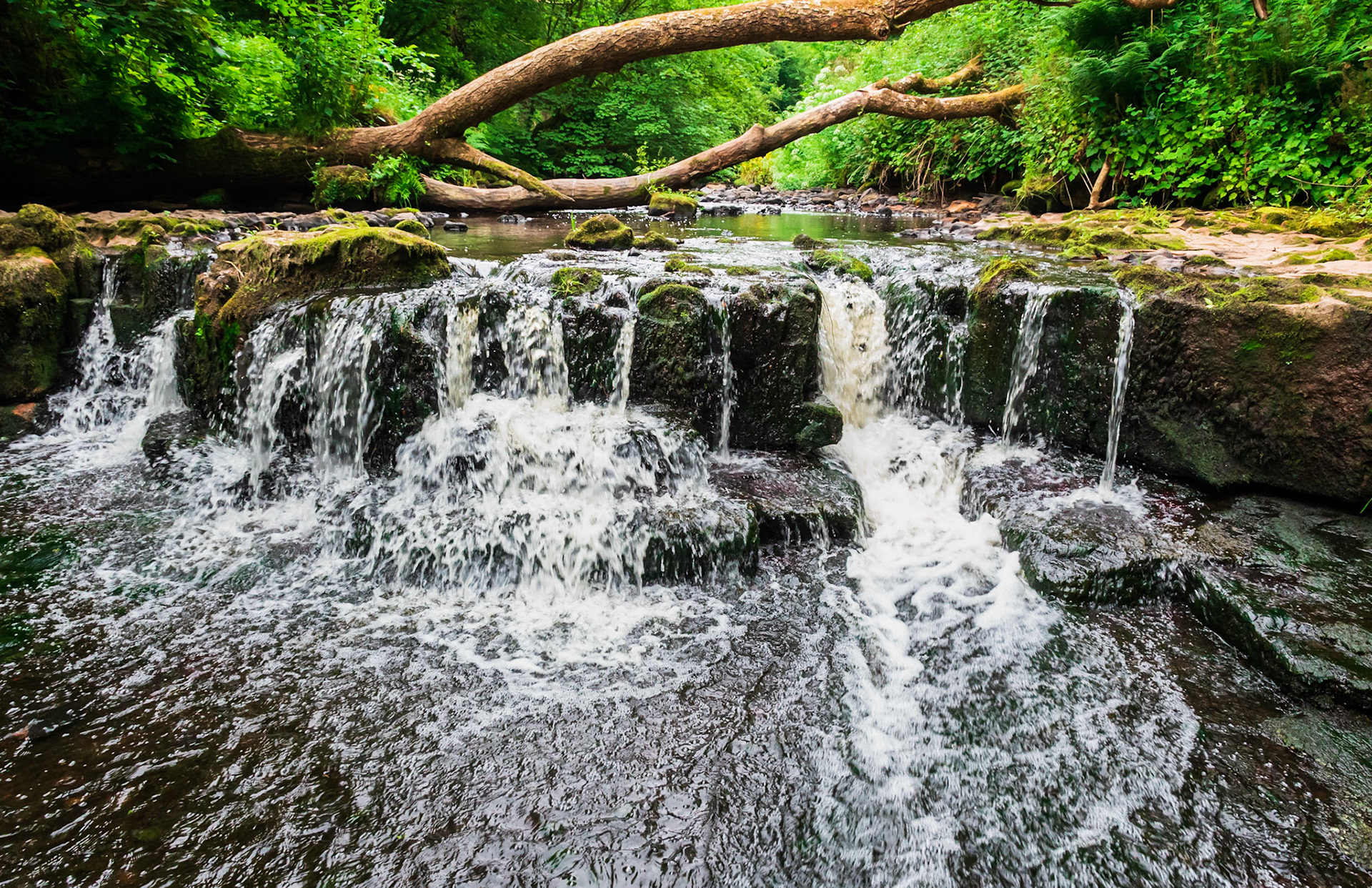 An early morning hand held exposure of Caaf Water flowing over a ledge at Lynn Falls near the small North Ayrshire town of Dalry.