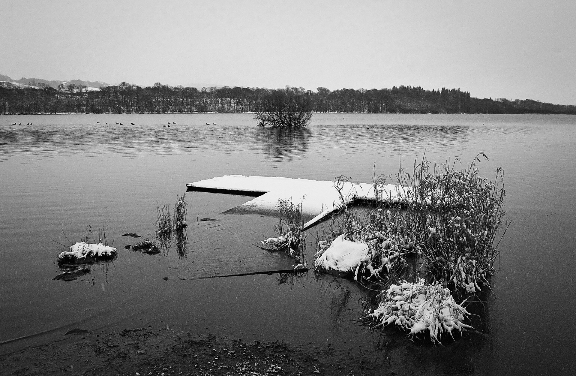 A slowly sinking jetty receives a covering of snow.