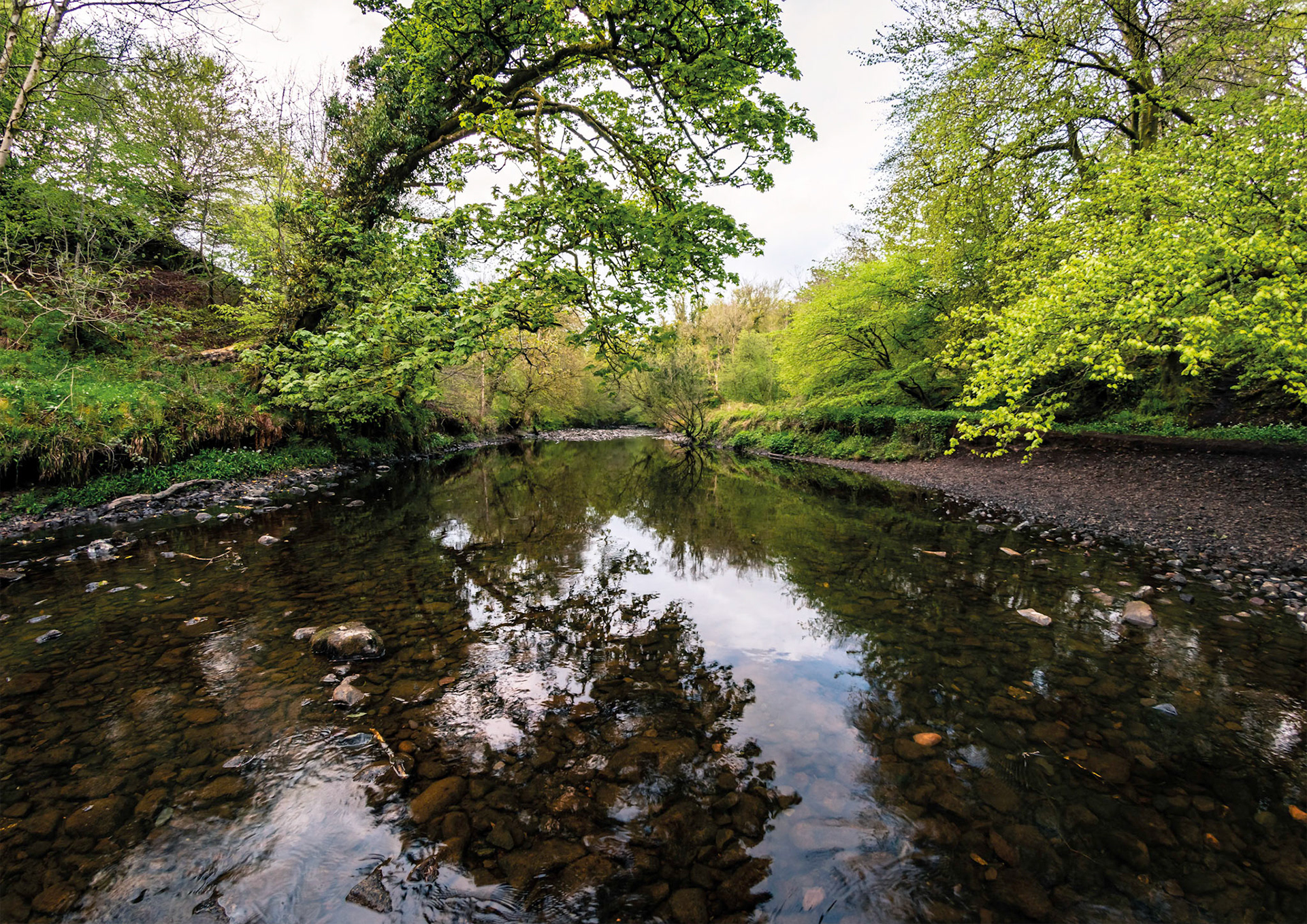 A walk down the river in the Scotish twilight.