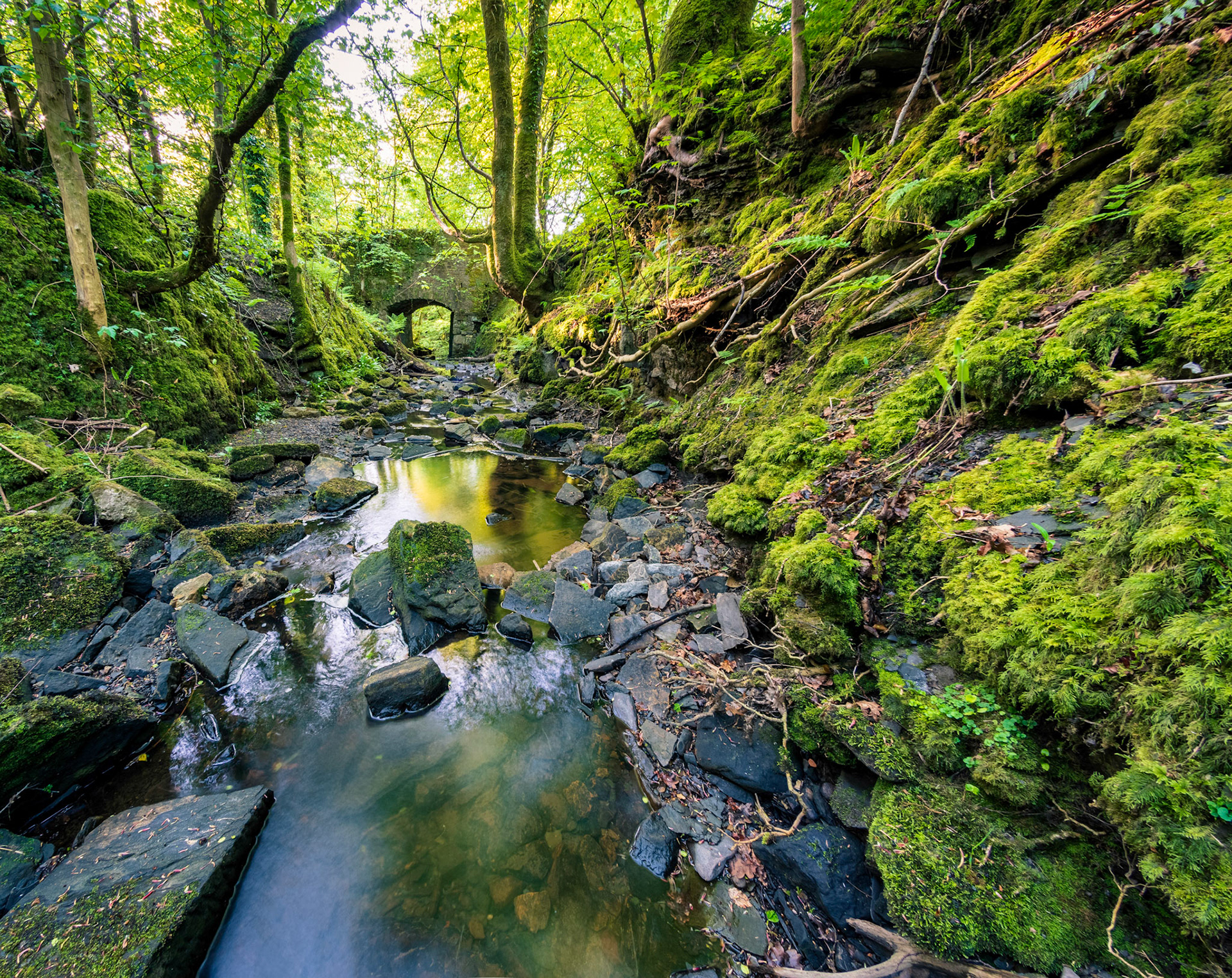 Millbank Burn (Scotish for stream) used to power a grain mill called Meikle Millbank Mill.