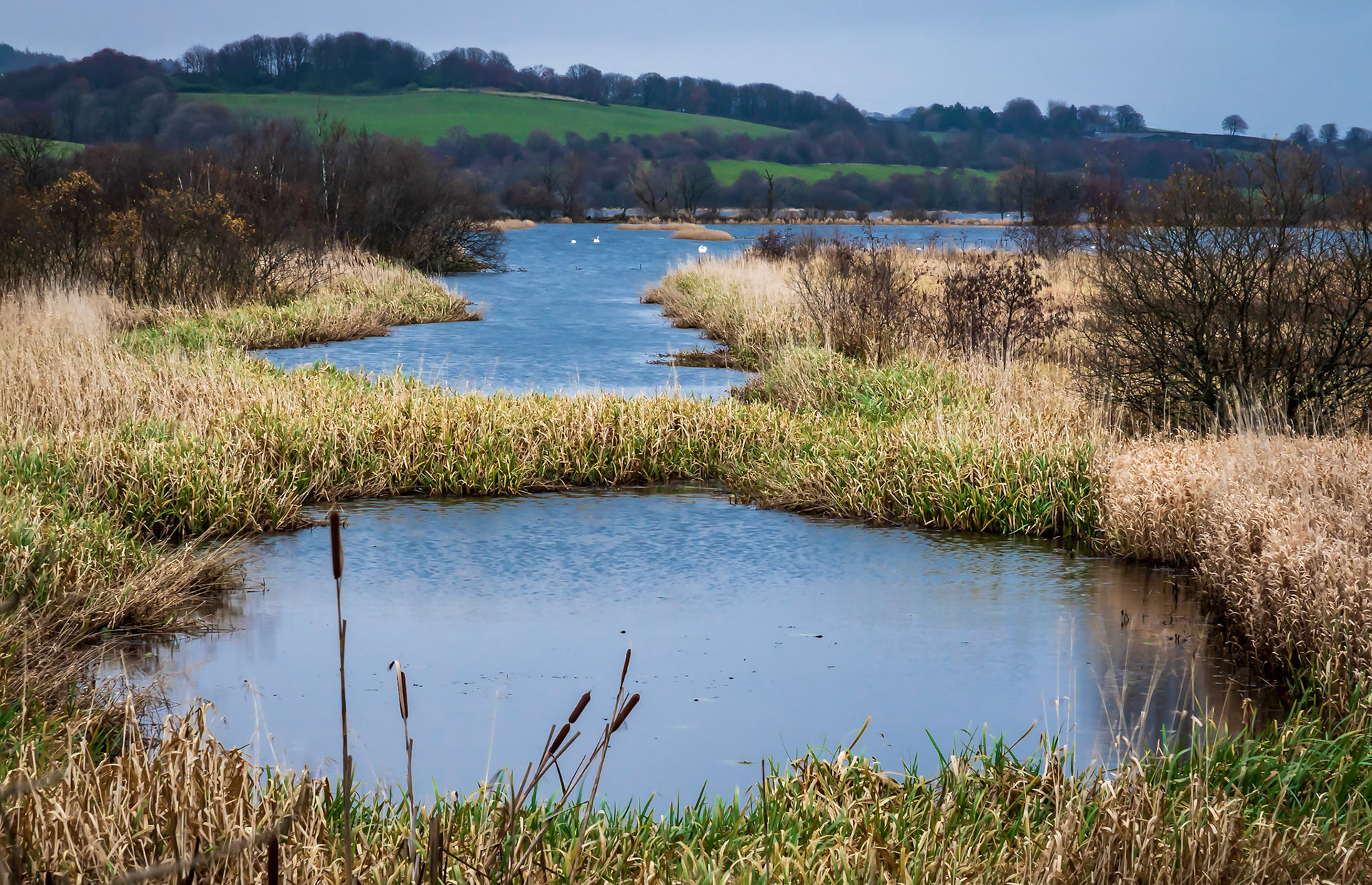 Taken on a cold and overcast autumn morning.
