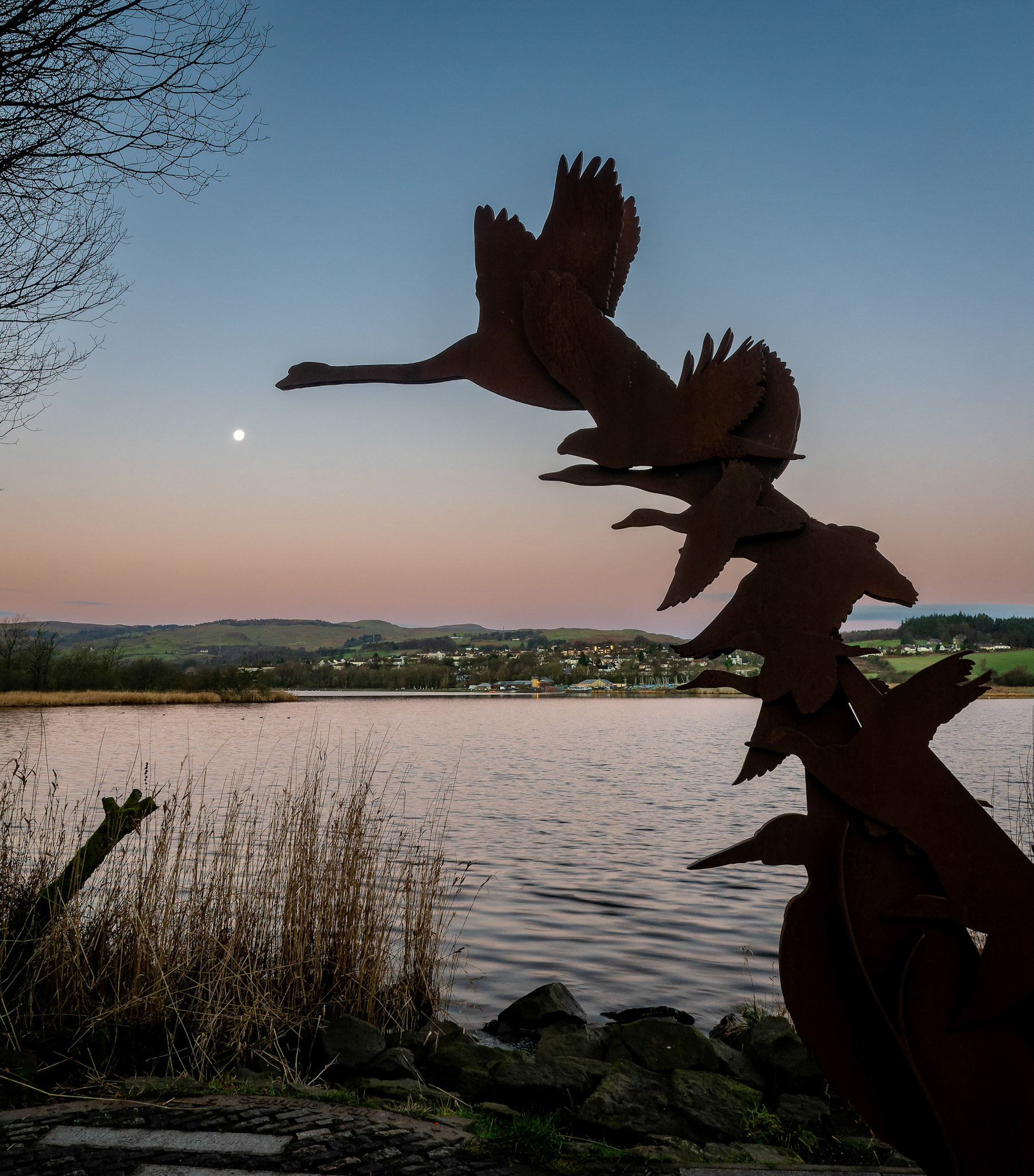 A metal swan art installation reaches for the moon.