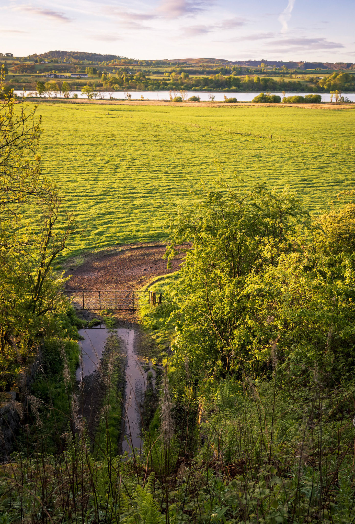 Taken looking down from the old railway line now cycle path on a early morning cycle.