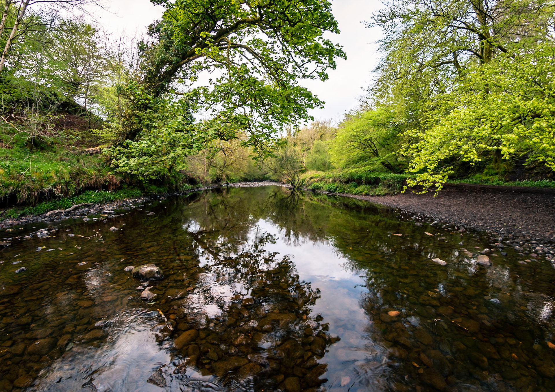 A walk down the river in the Scotish twilight.