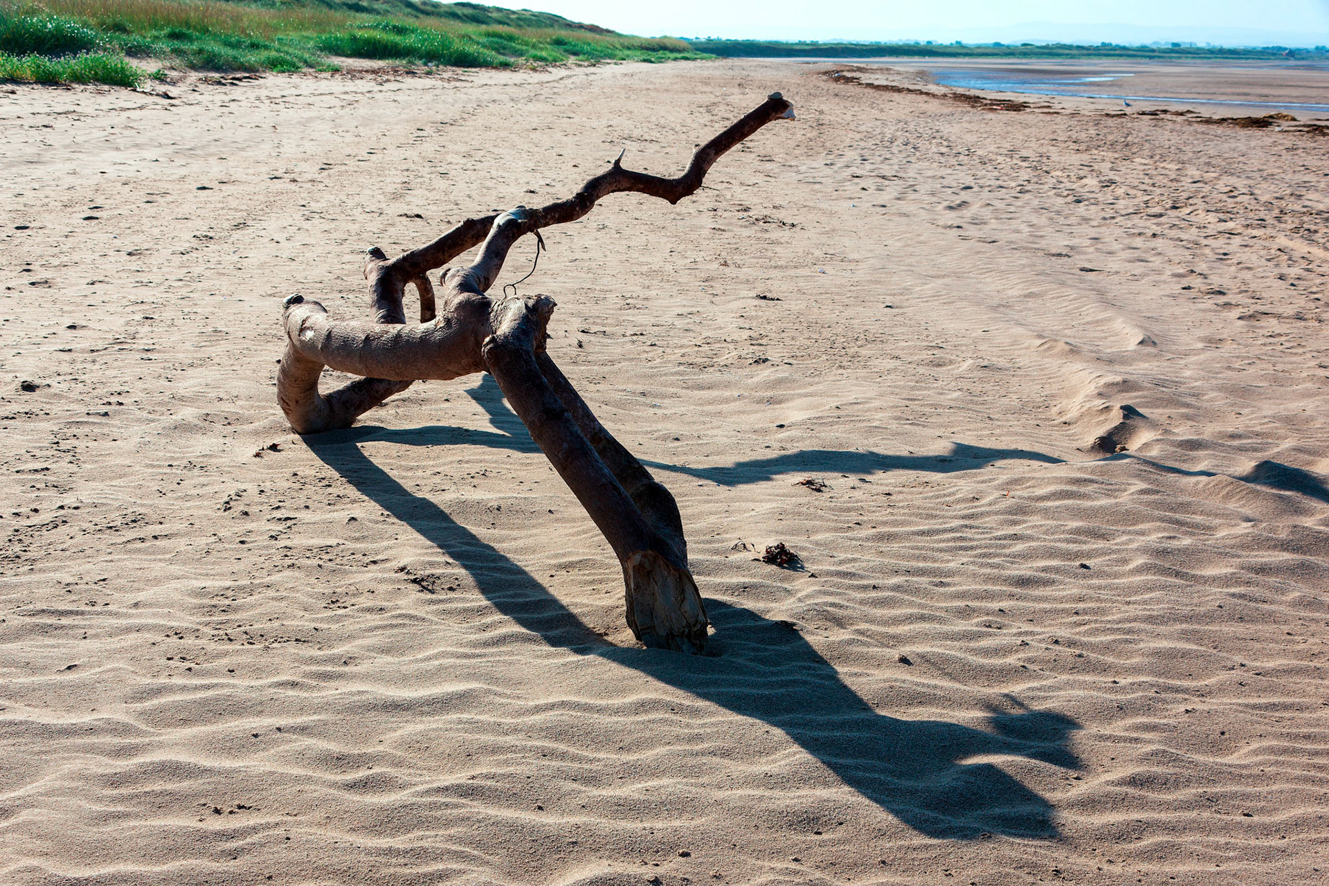 A tree branch finds a final resting place on Troon's South Sands.