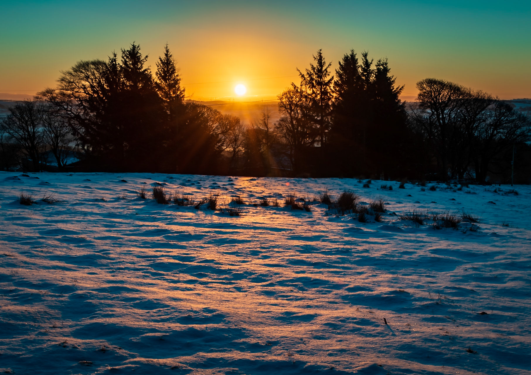 From between a gap in a line of trees the Sun casts its glow across fresh snow.