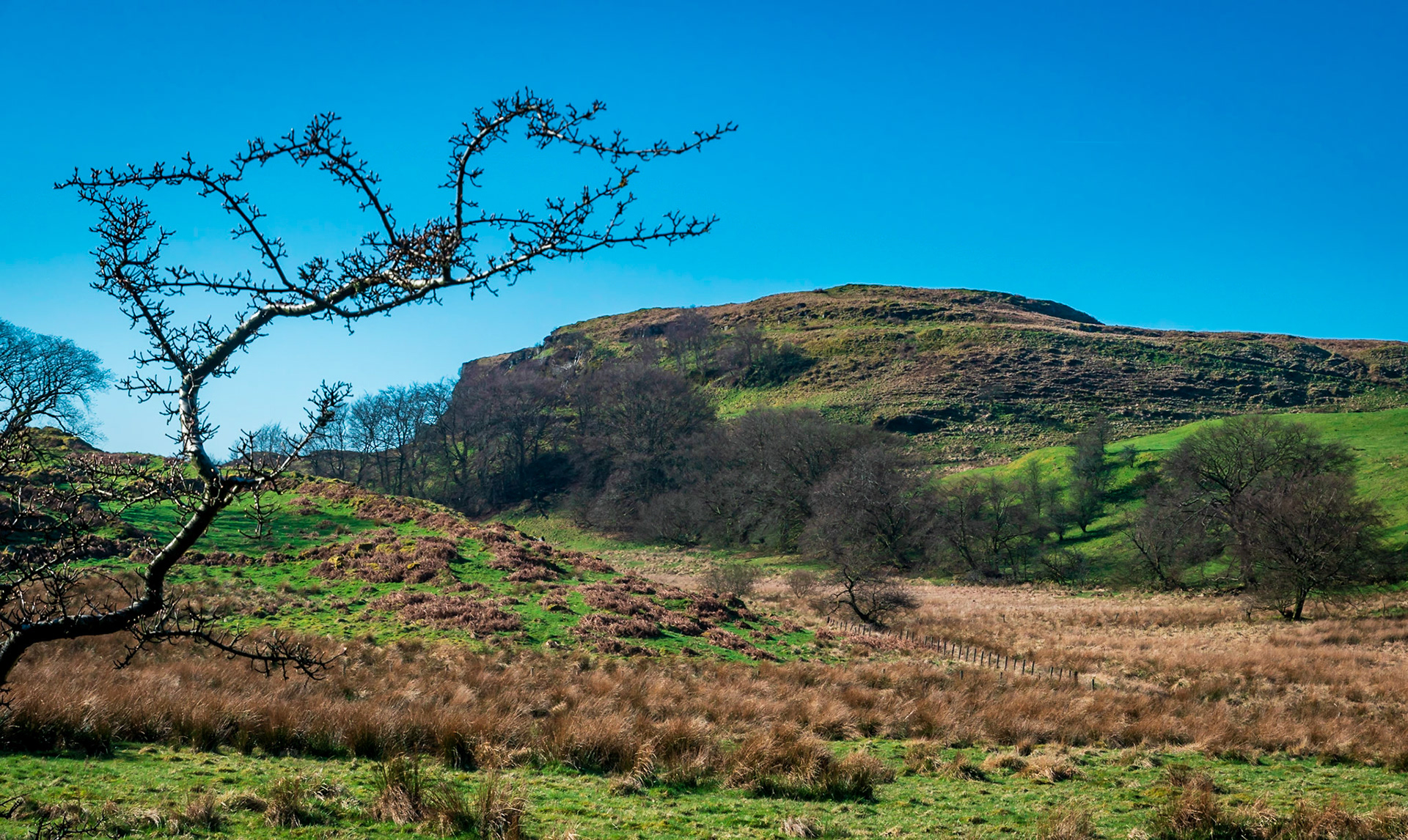 On a bright April day Walls Hill the site of an Iron  Age fort keeps its secrets to itself.