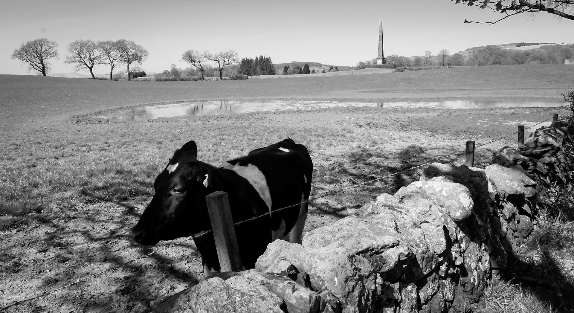 The obelisk was built around 1825 to commemorate Robert Walter Stuart, the 11th Lord Blantyre, a major land owner in the Renfrewshire area. Her Monument is seen from North Porton Road.