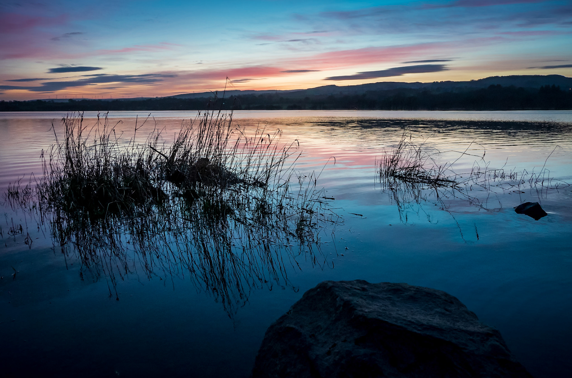 Reeds and a rock sit in the cold water of a Scottish Lake as the golden glow of sunset is replaced by the blue of night.