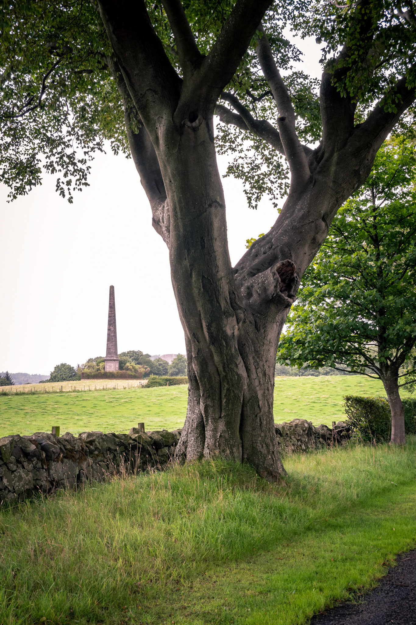 Built around 1825 to commemorate Robert Walter Stuart, the 11th Lord Blantyre, a major land owner in the Renfrewshire area.
