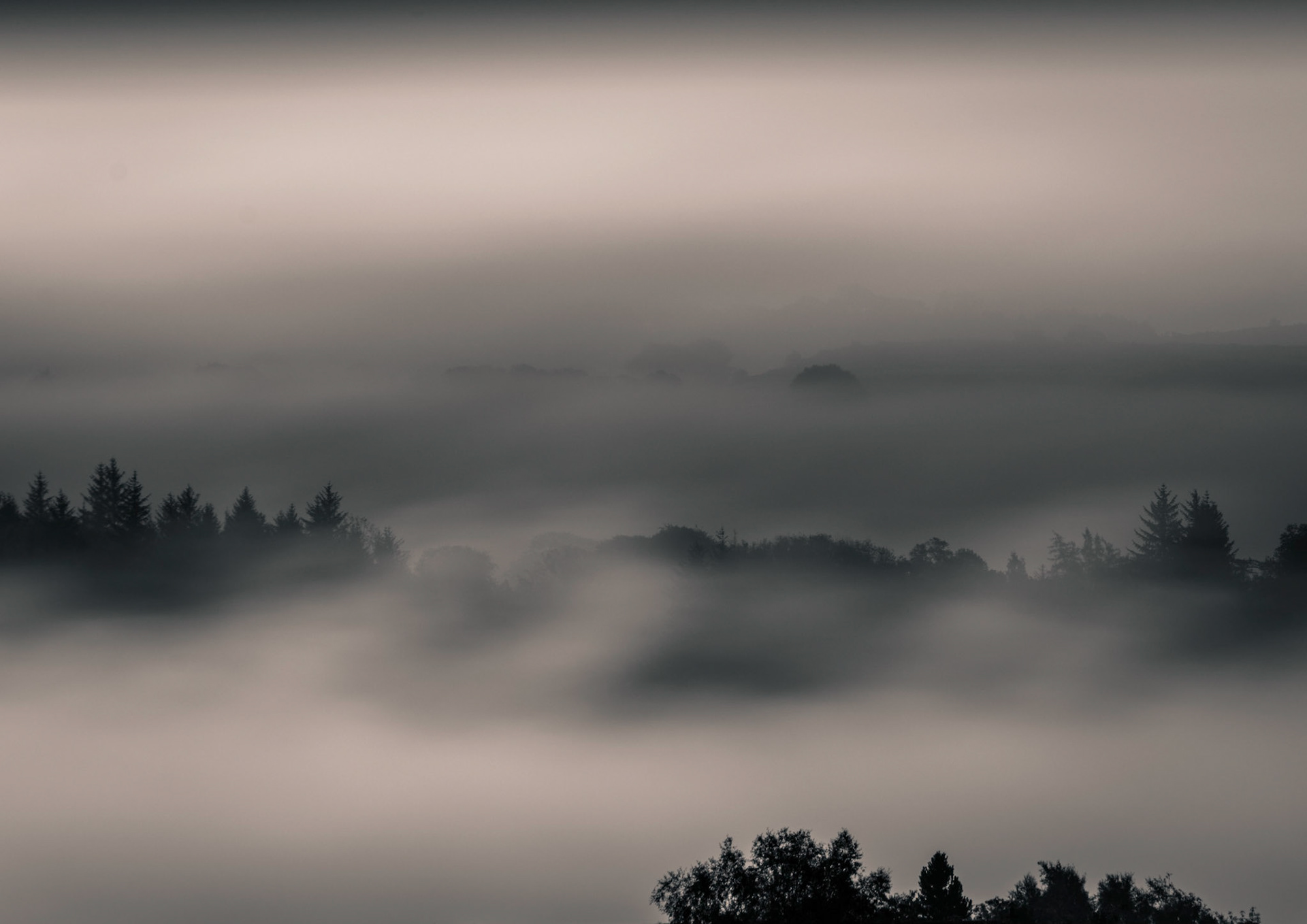 Early Morning fog above Castle Semple Loch (Lake ).