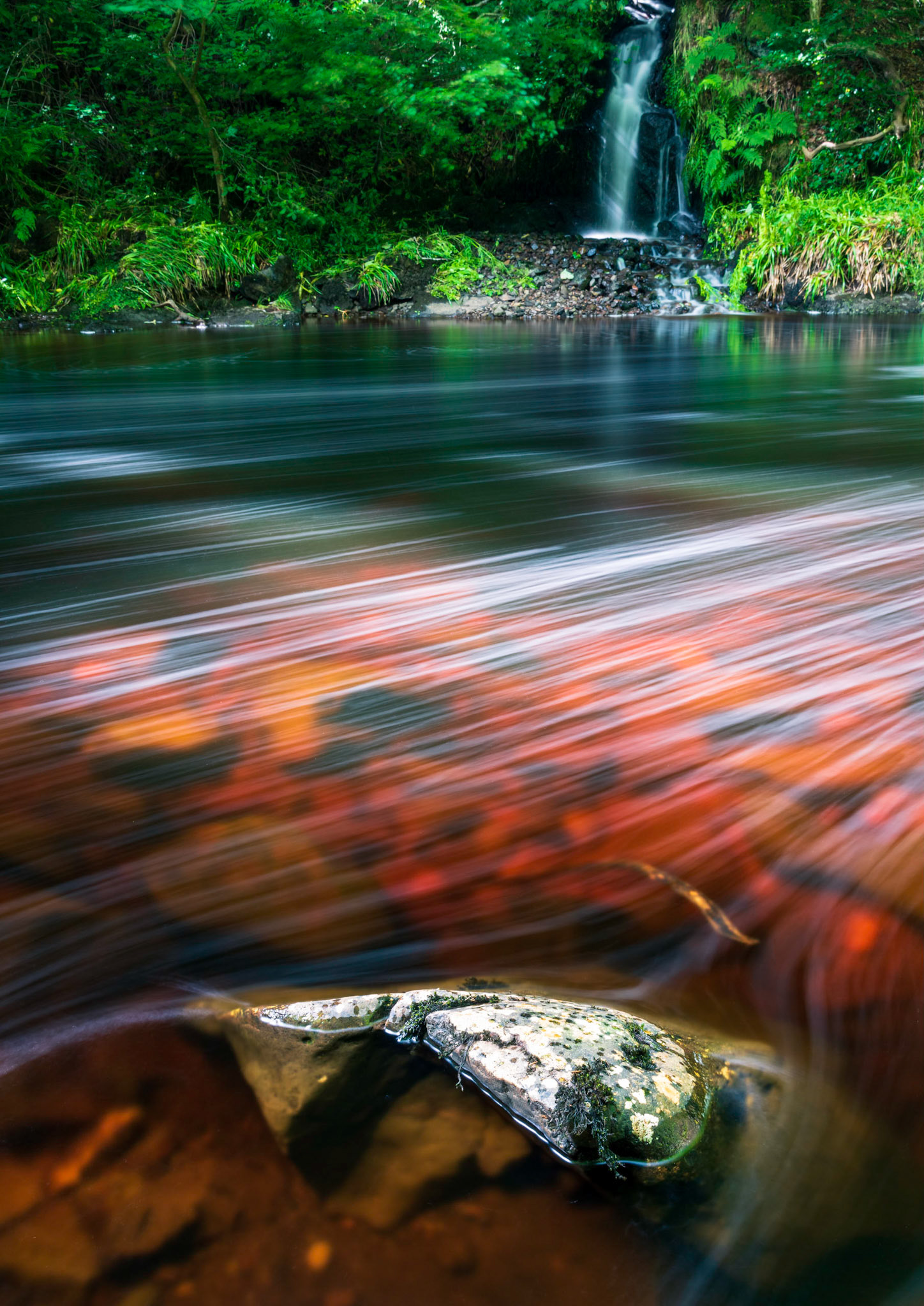 Bubbles streak past in this long exposure.