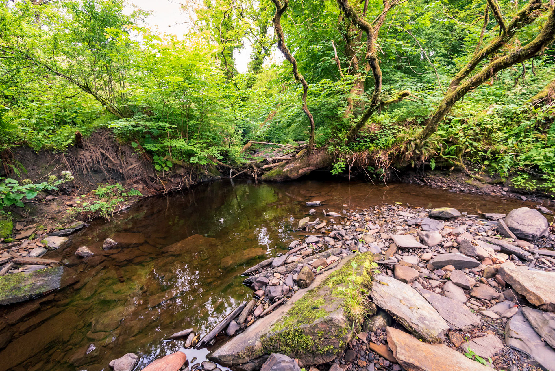 The picture looks like a bend in the river actually is not, the river is flowing from the behind the tree in the middle.