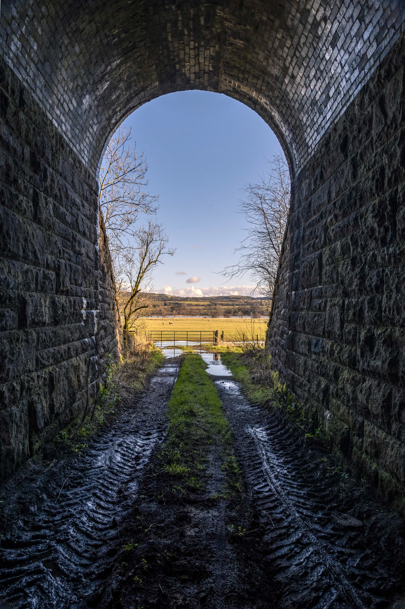 This track gives access to farm land and passes under the old Dalry and North Johnstone railway Line, which is now National Cycle Route 7. In the distance Barr Loch can be seen.