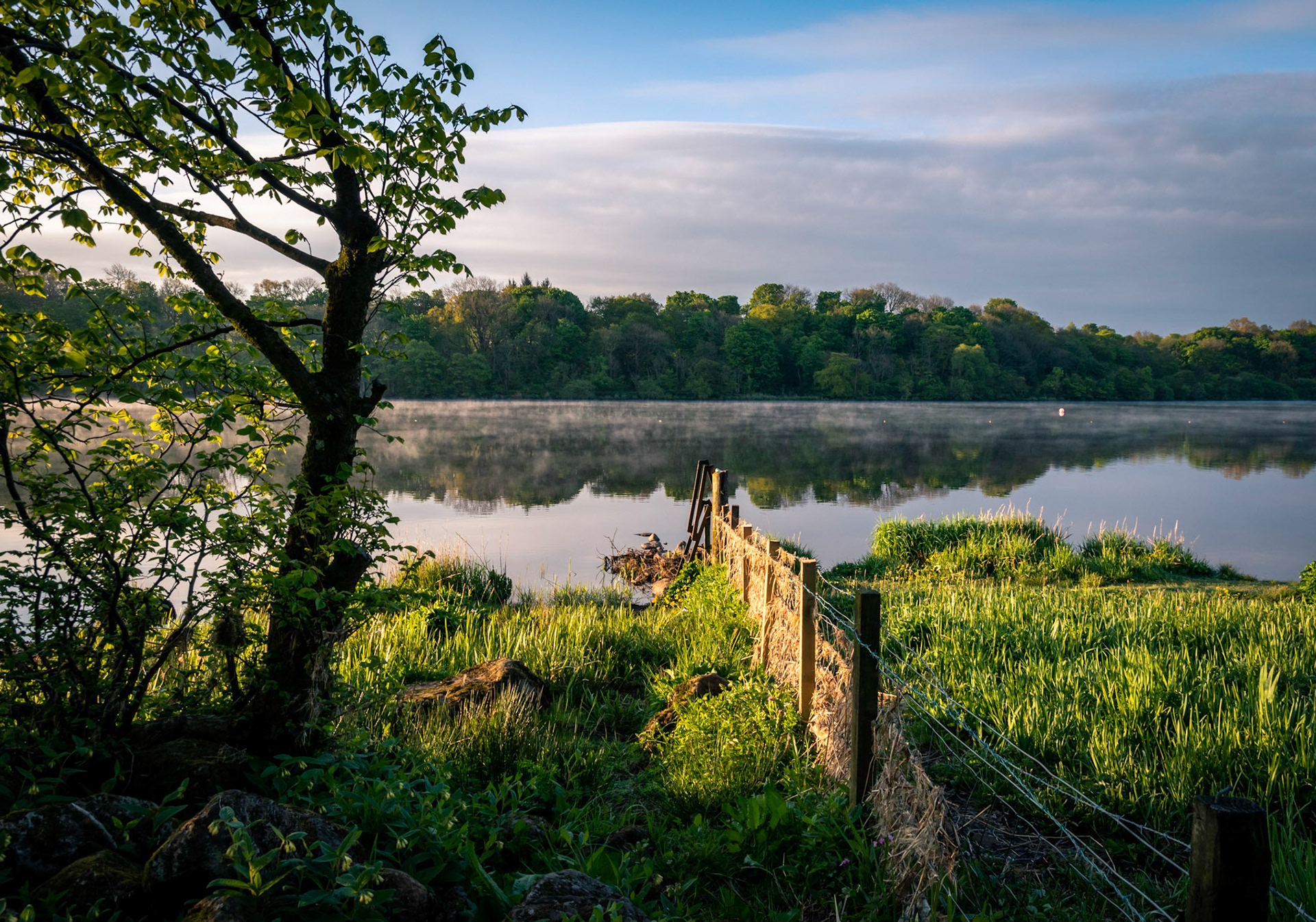 Just after sunrise a fence leads into Castle Semple Loch (Scottish Lake).