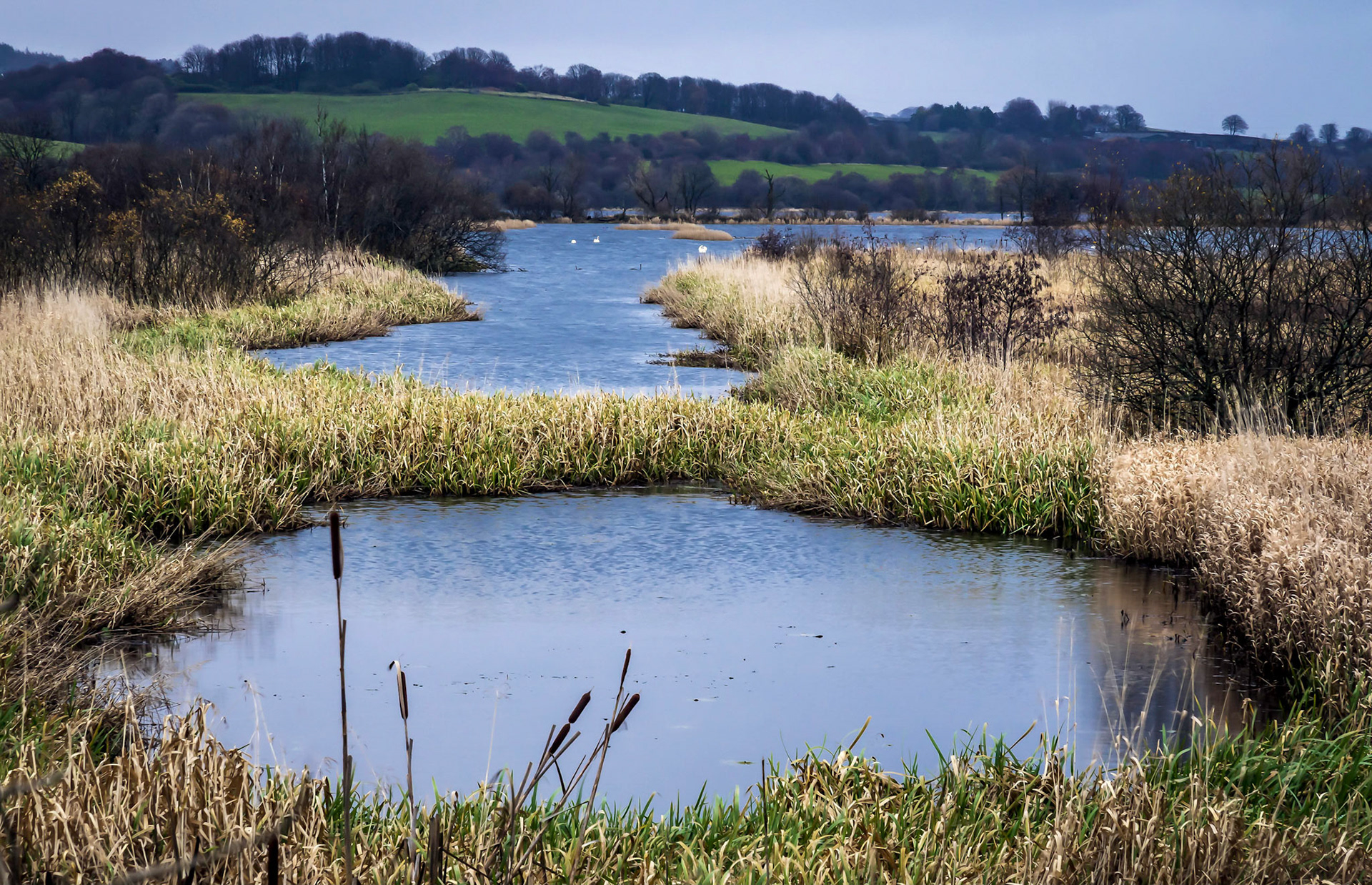 Taken on a cold and overcast autumn morning.