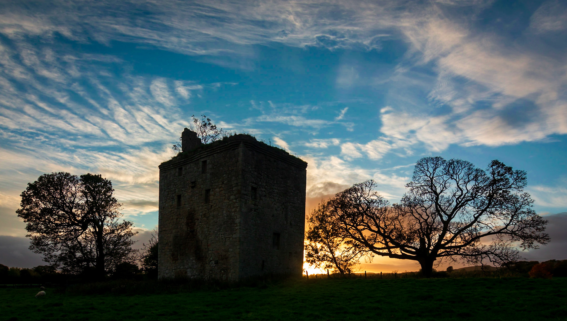 As sunsets out of shot is rays picksout high clouds with warm rays.