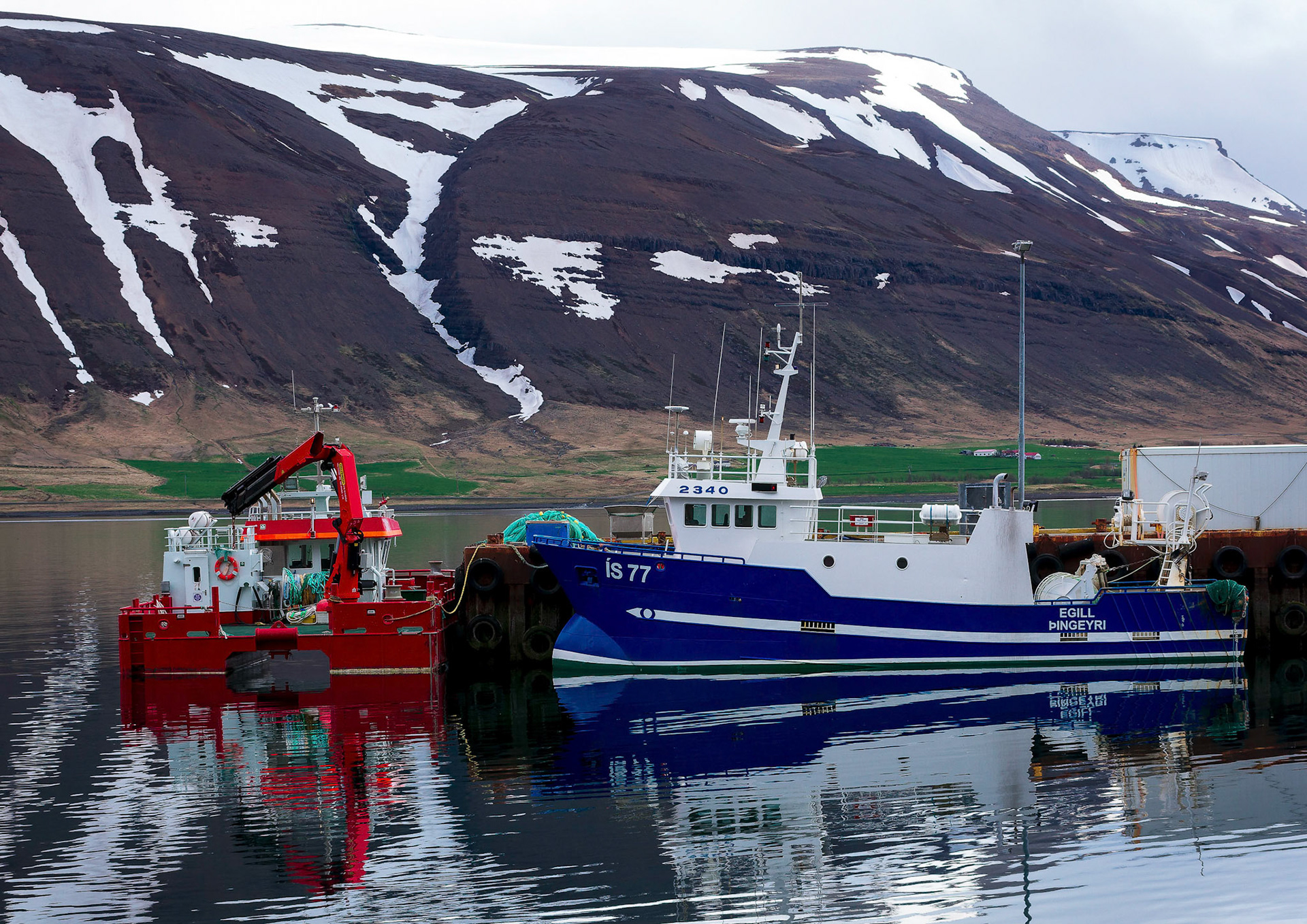 The fishing port of Thingeyri (Þingeyri) is in the Icelandic Westfjords region.