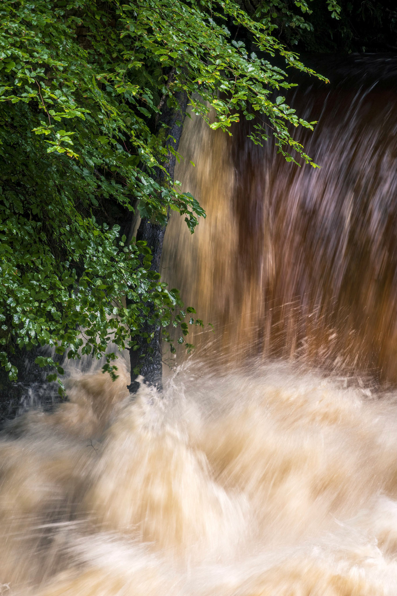A long trapped log sits at the bottom of a weir.