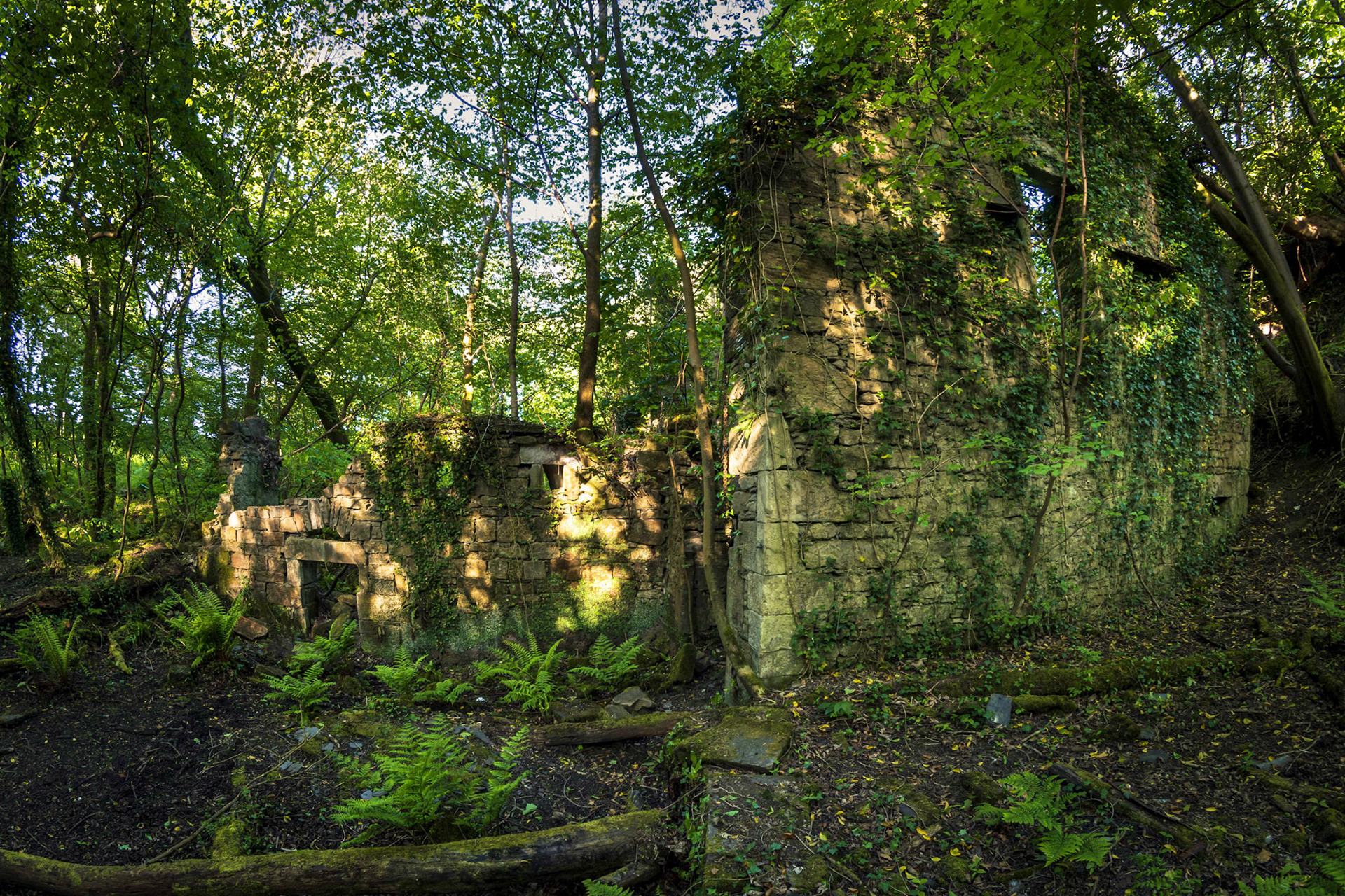 On an early morning cycle down the National Cycle Route 7 I encountered this old mill that was powered by Millbank Burn, near Lochwinnoch.