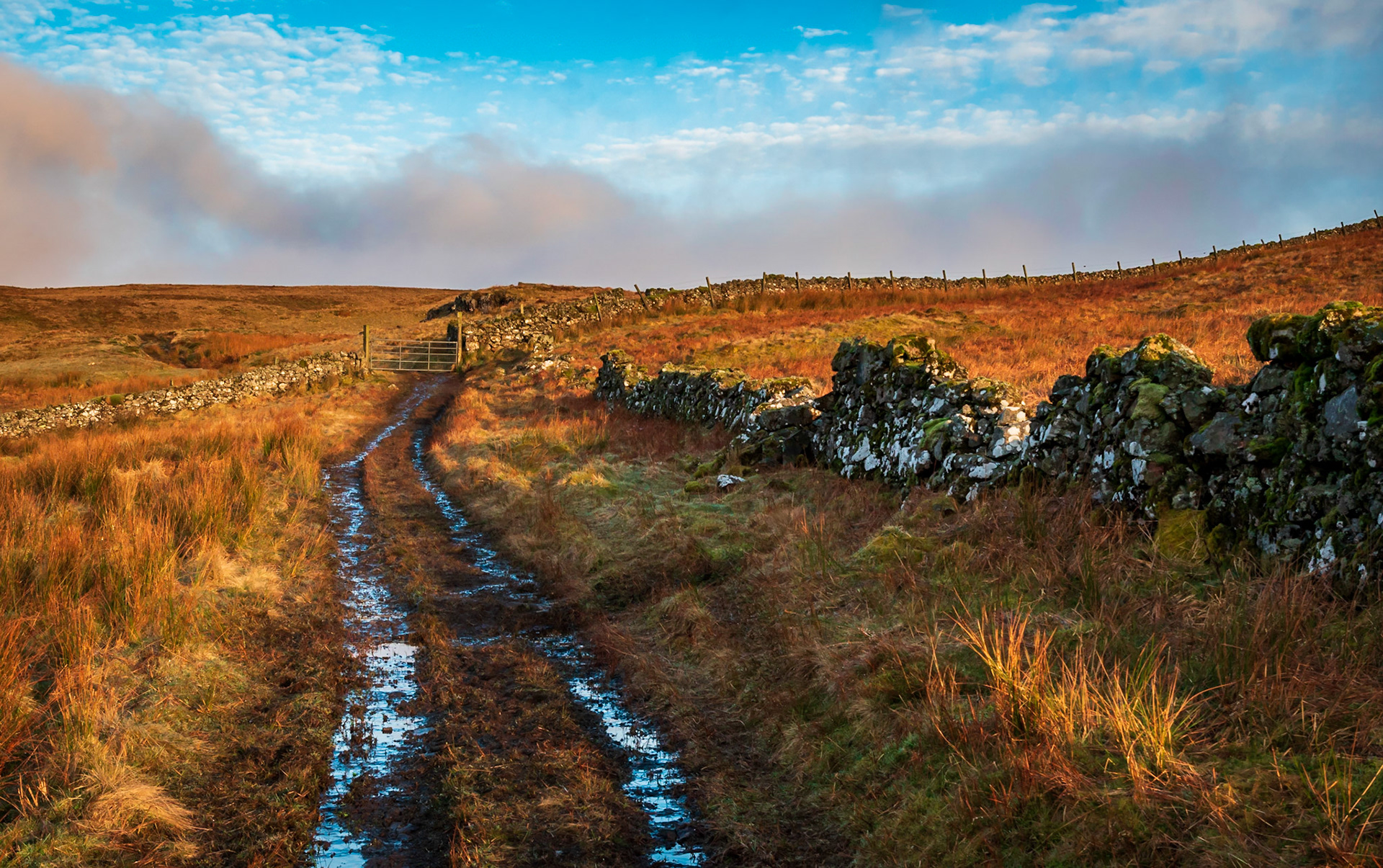 On a early srping day the low sun lights up the moorland with warm its  glow.