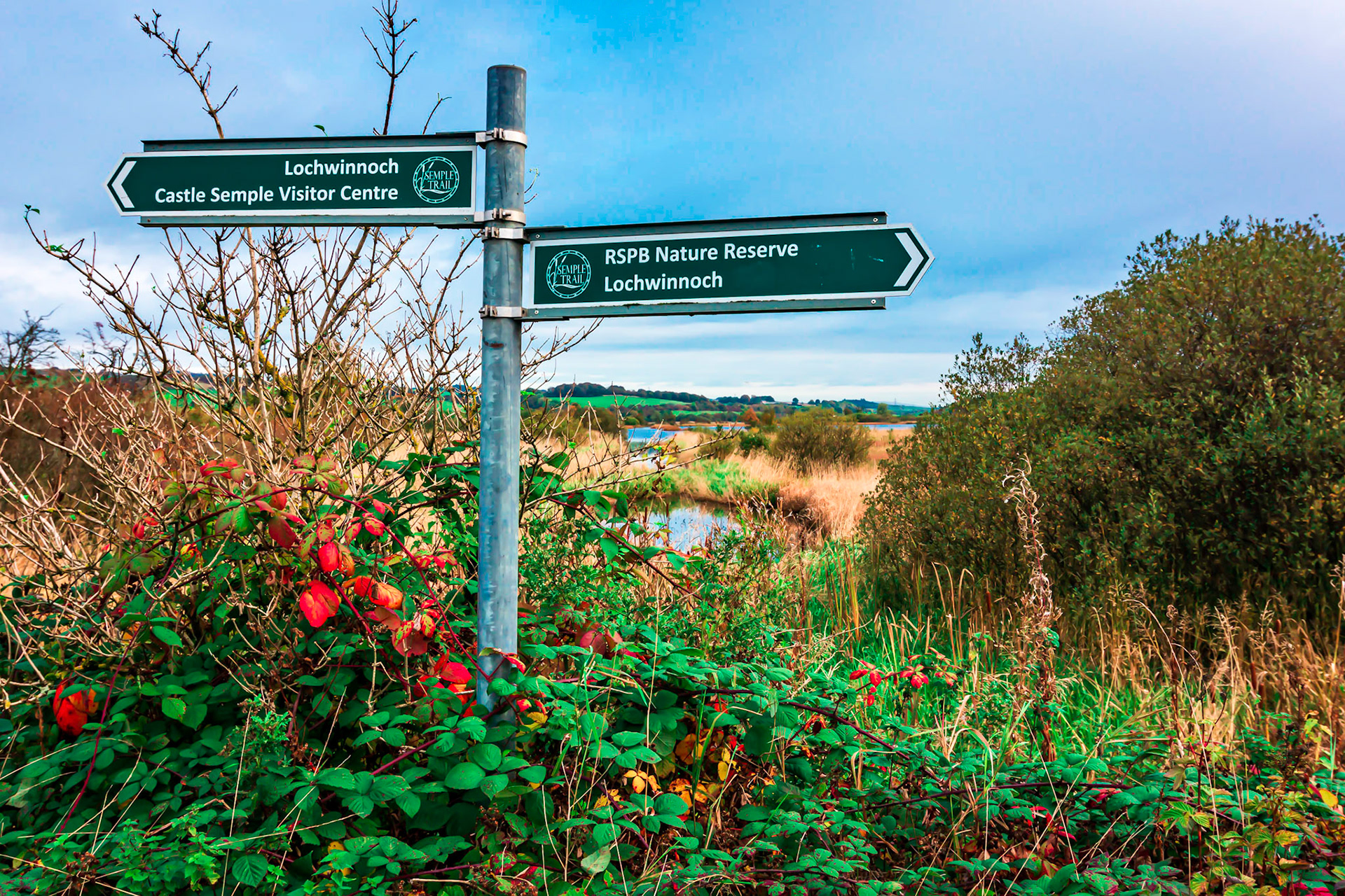 Near Lochwinnoch a sign points either to the RSPB reserve or the Castle Semple visiters centr.