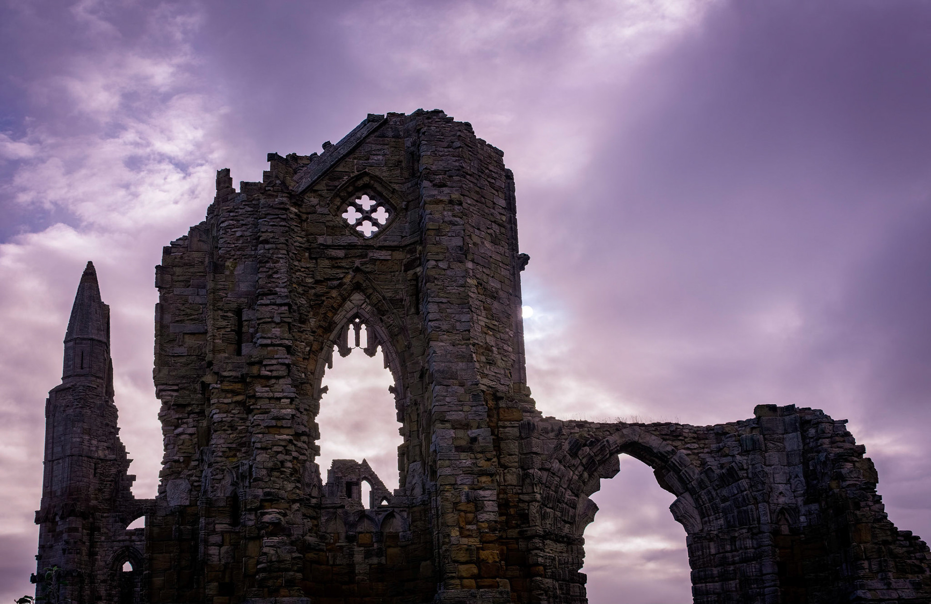 Morming at Whitby Abbey from the west.